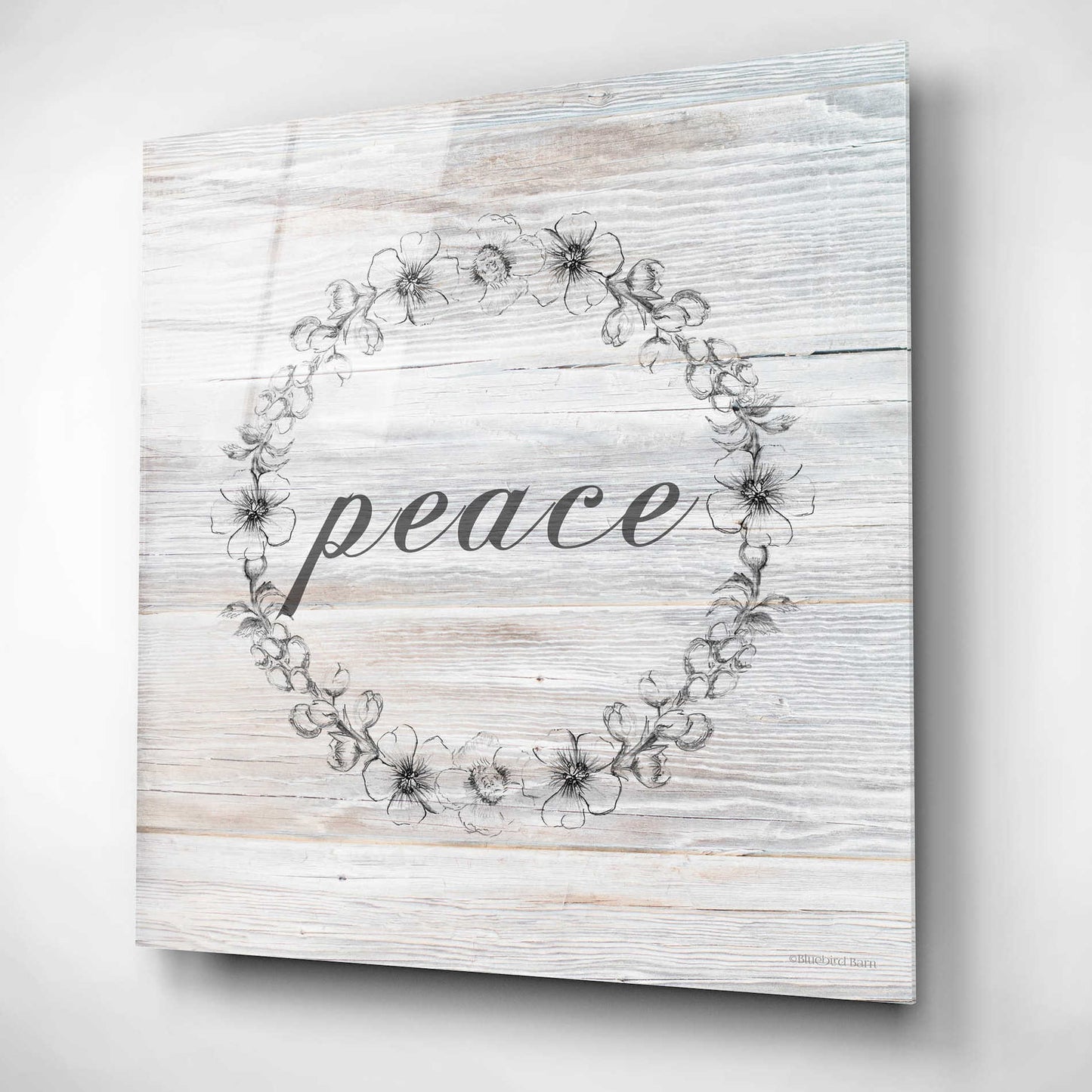 Epic Art 'Peace' by Bluebird Barn, Acrylic Glass Wall Art,12x12