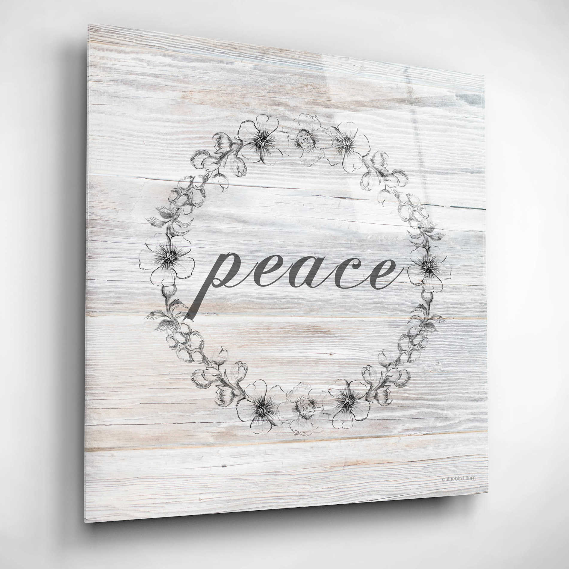 Epic Art 'Peace' by Bluebird Barn, Acrylic Glass Wall Art,12x12