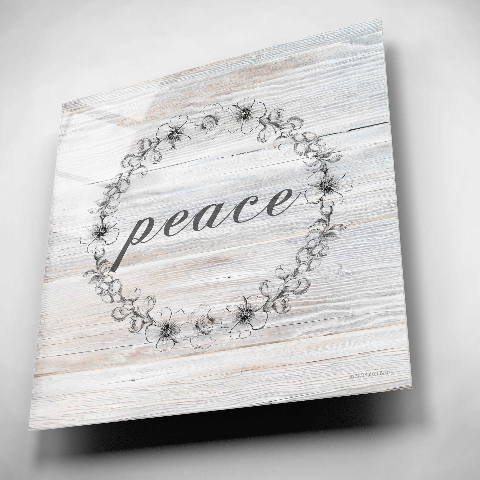 Epic Art 'Peace' by Bluebird Barn, Acrylic Glass Wall Art,12x12