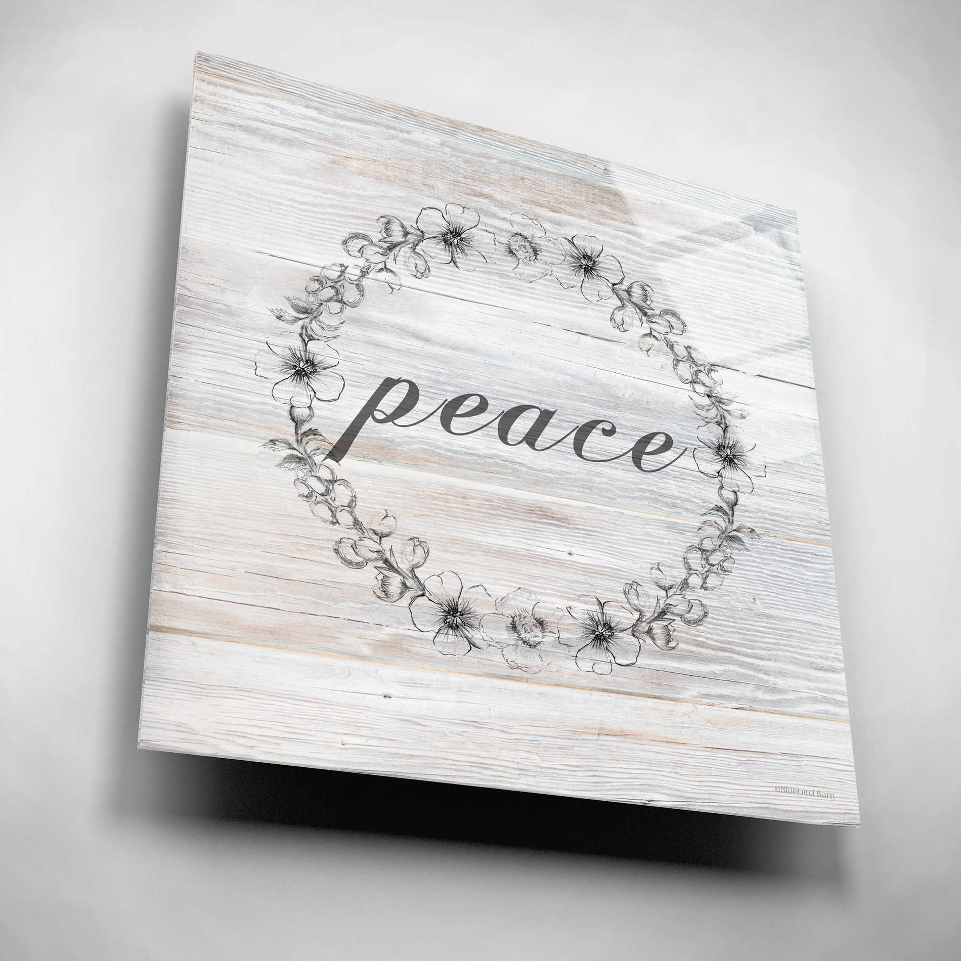 Epic Art 'Peace' by Bluebird Barn, Acrylic Glass Wall Art,12x12