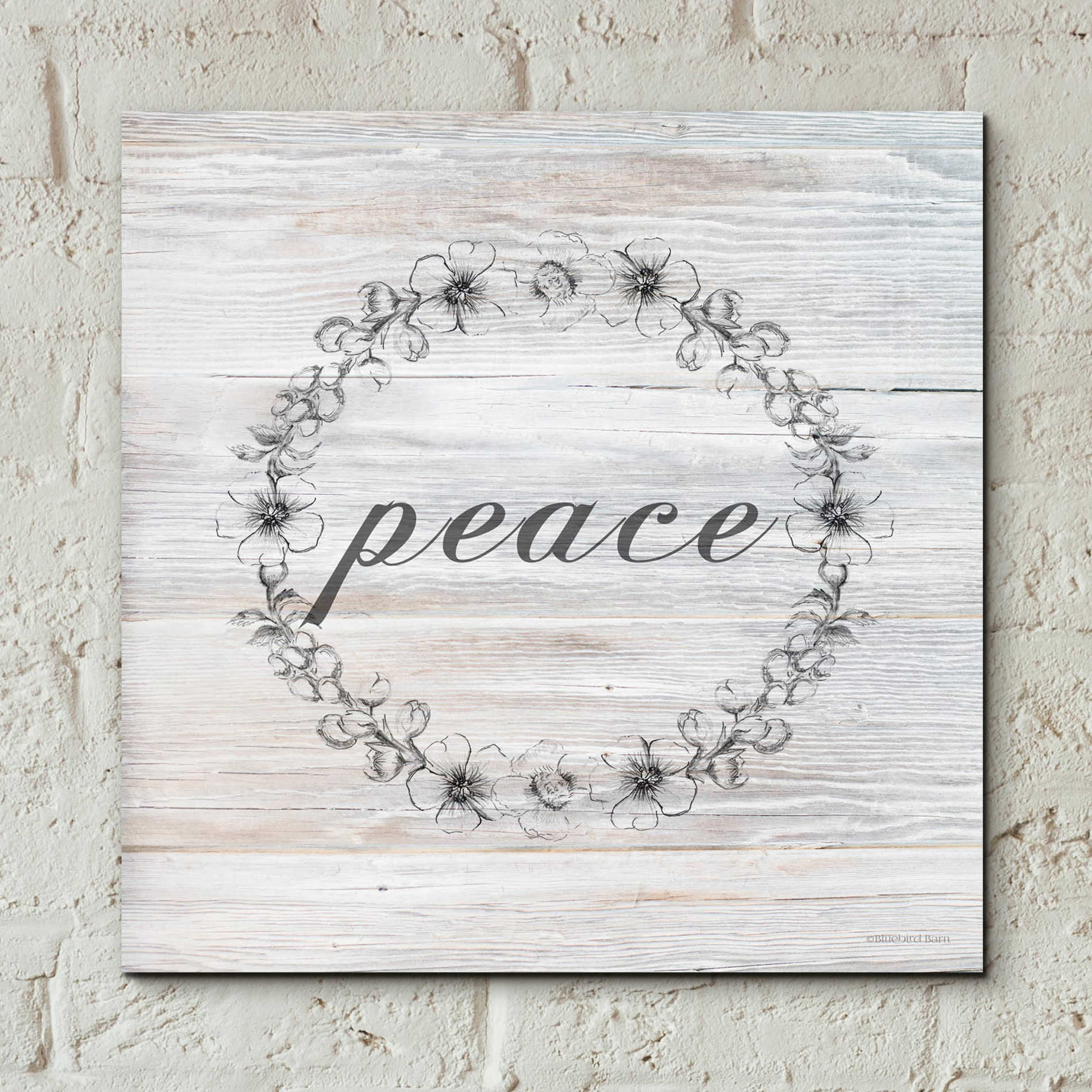 Epic Art 'Peace' by Bluebird Barn, Acrylic Glass Wall Art,12x12