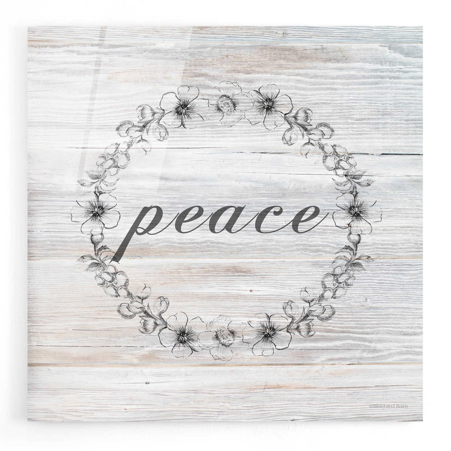 Epic Art 'Peace' by Bluebird Barn, Acrylic Glass Wall Art,12x12