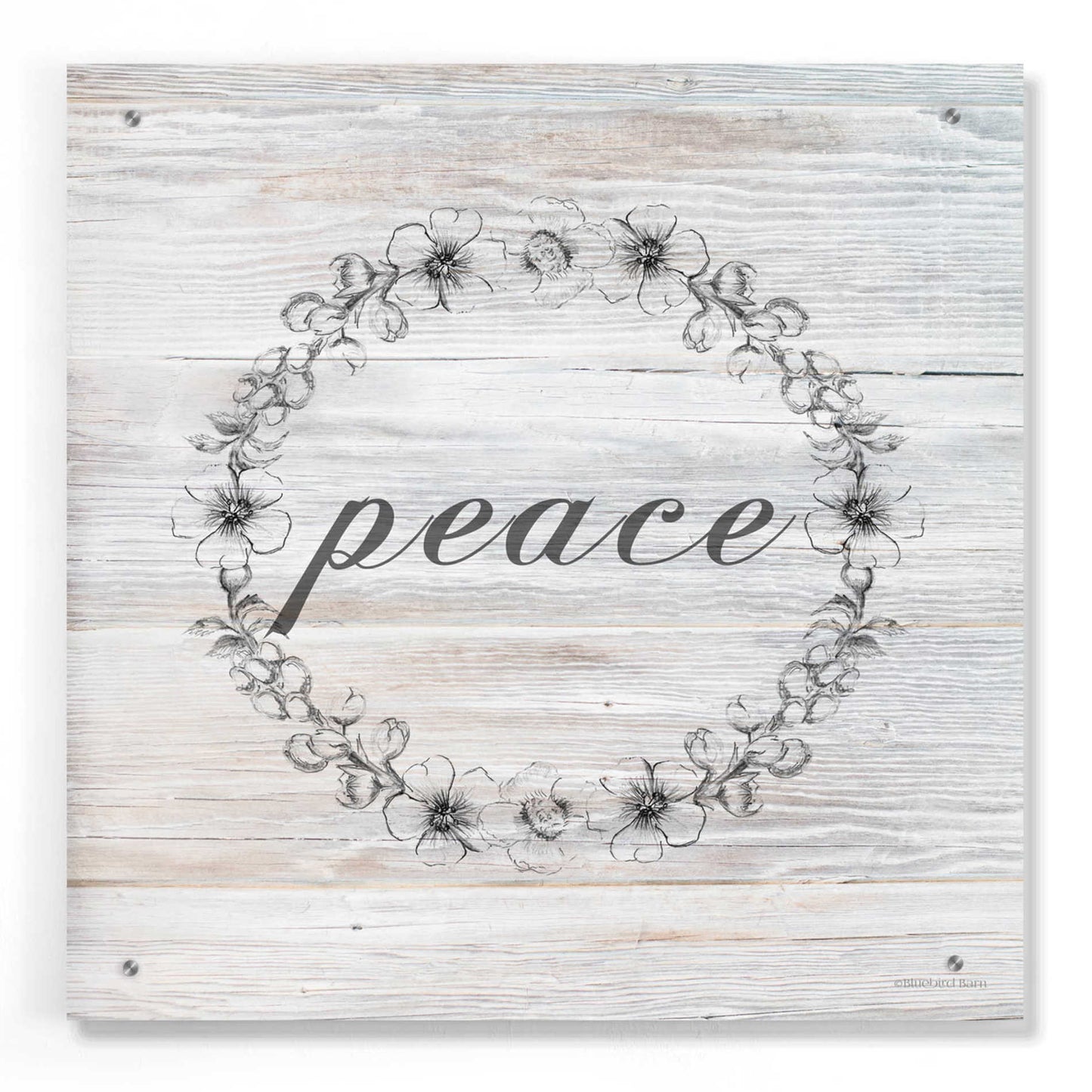 Epic Art 'Peace' by Bluebird Barn, Acrylic Glass Wall Art,24x24