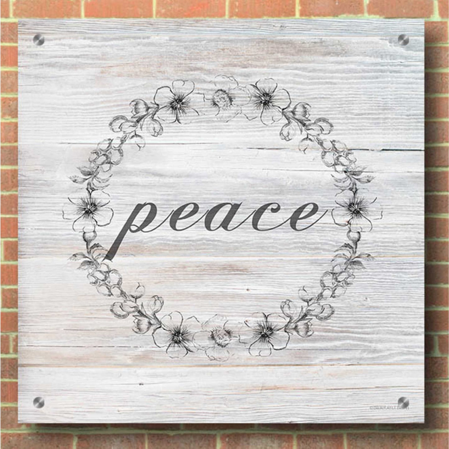 Epic Art 'Peace' by Bluebird Barn, Acrylic Glass Wall Art,36x36