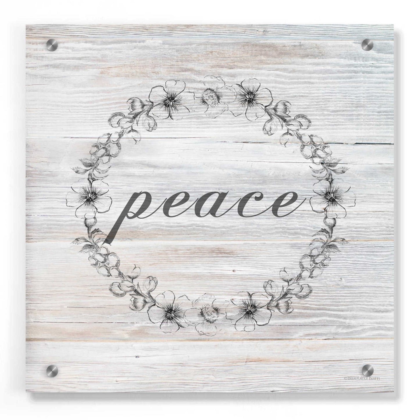 Epic Art 'Peace' by Bluebird Barn, Acrylic Glass Wall Art,36x36