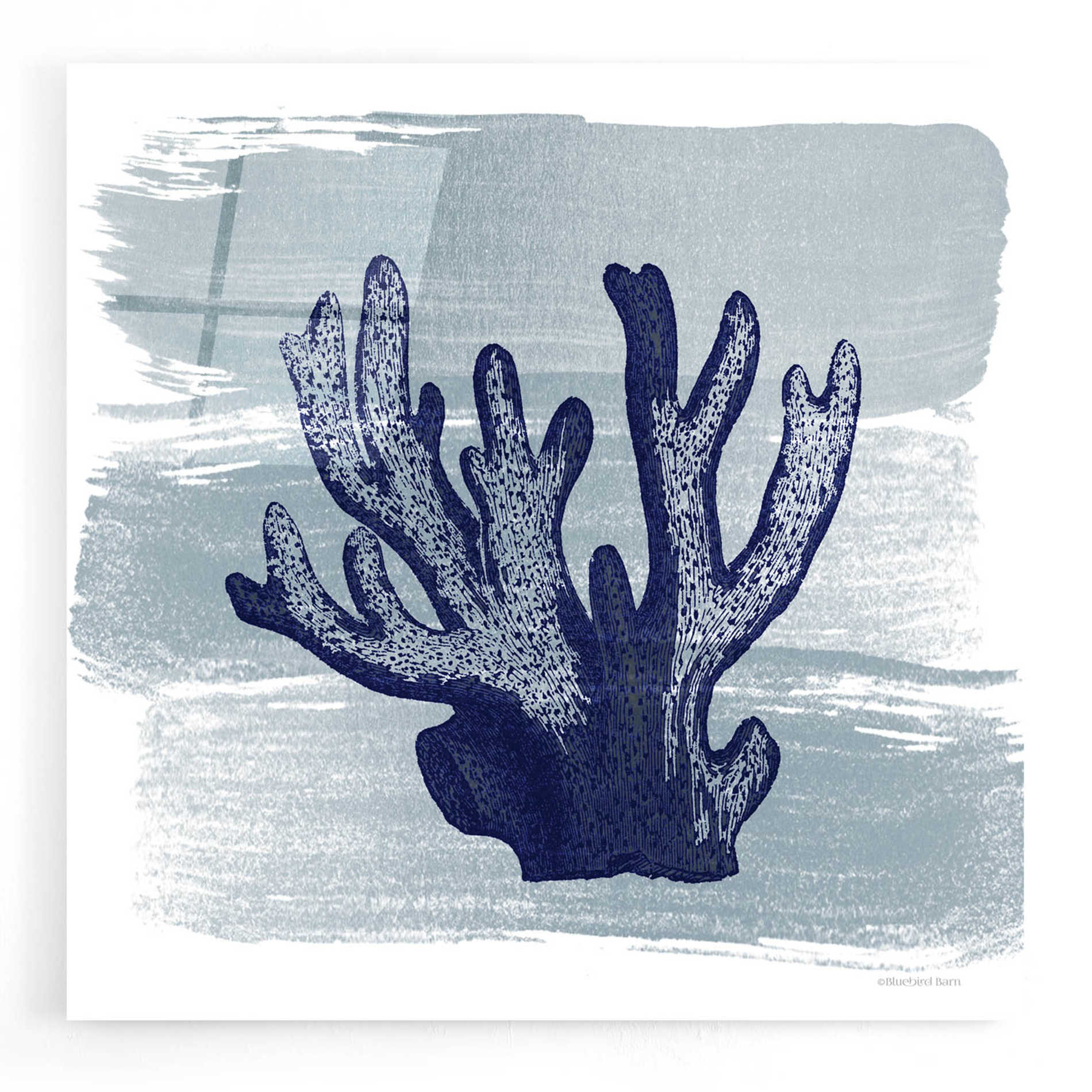 Epic Art 'Brushed Midnight Blue Elkhorn Coral' by Bluebird Barn, Acrylic Glass Wall Art,12x12