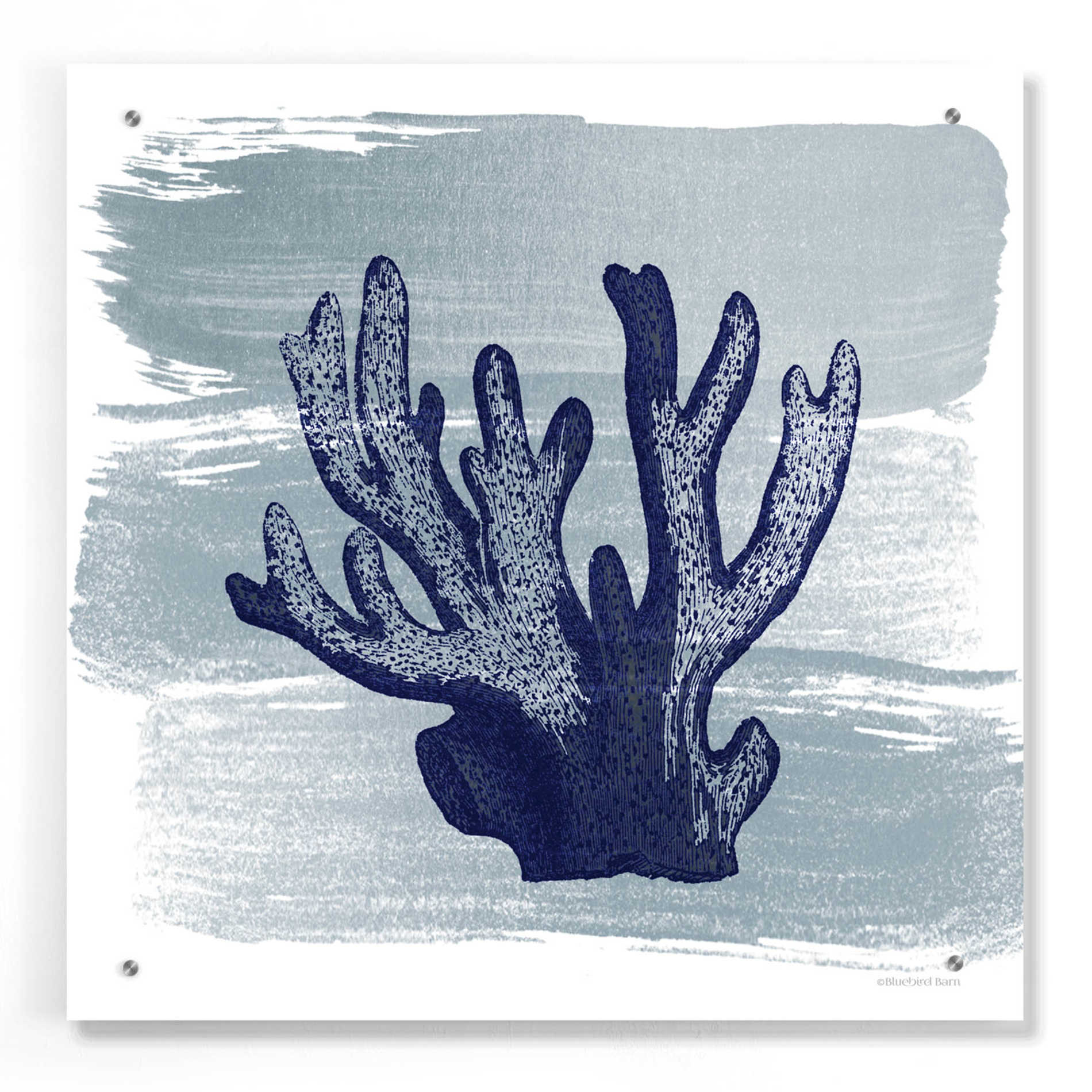 Epic Art 'Brushed Midnight Blue Elkhorn Coral' by Bluebird Barn, Acrylic Glass Wall Art,24x24