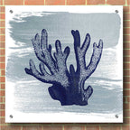 Epic Art 'Brushed Midnight Blue Elkhorn Coral' by Bluebird Barn, Acrylic Glass Wall Art,36x36