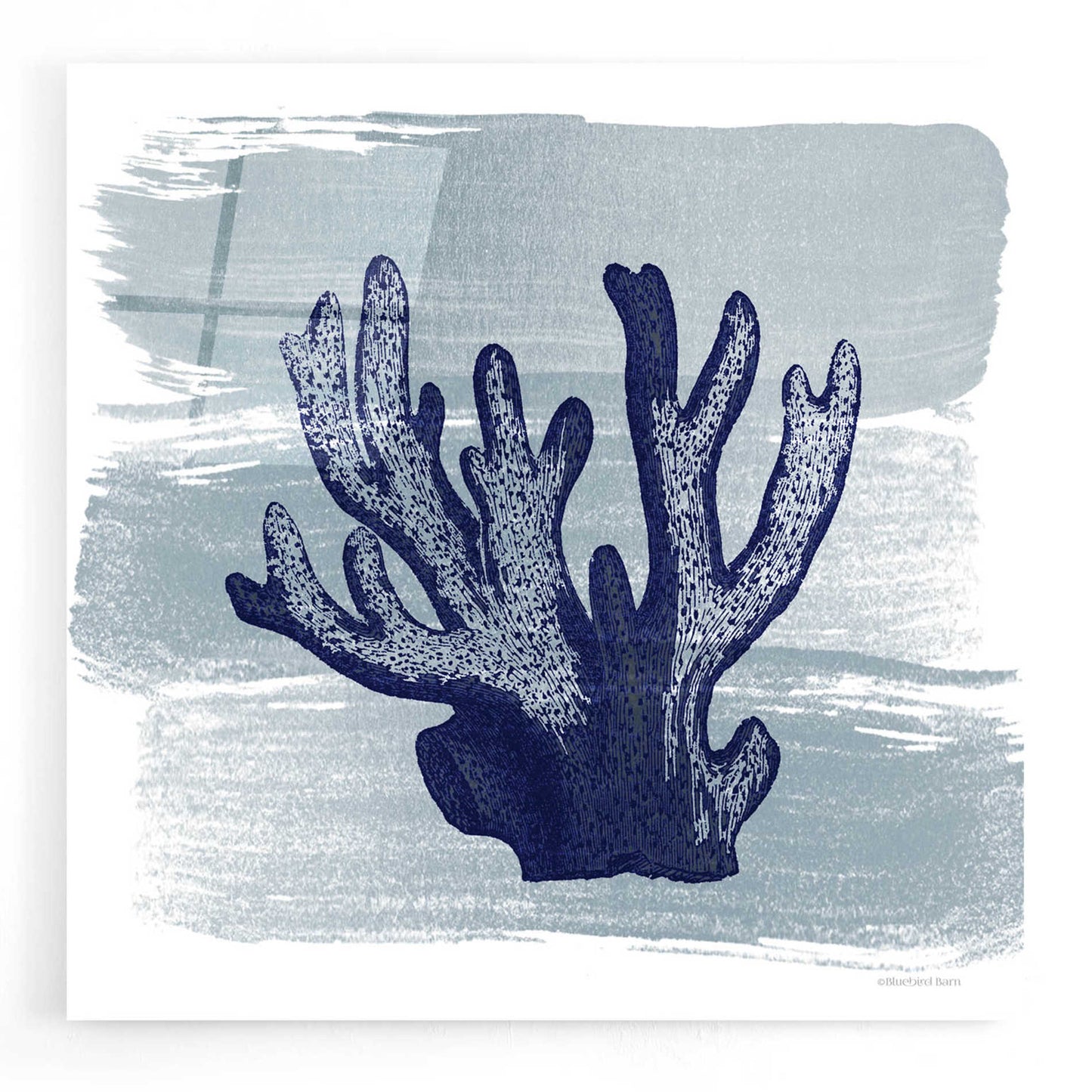 Epic Art 'Brushed Midnight Blue Elkhorn Coral' by Bluebird Barn, Acrylic Glass Wall Art