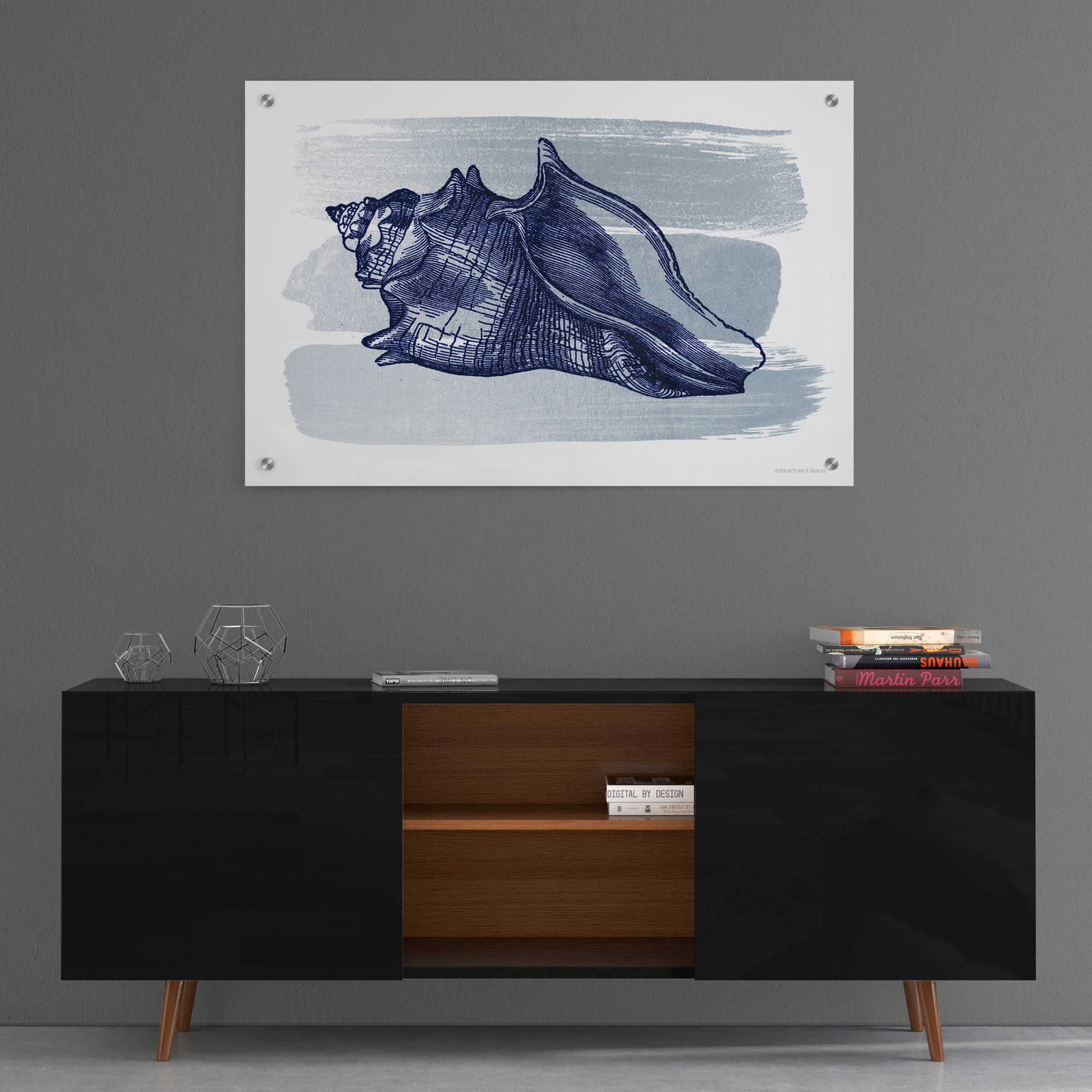 Epic Art 'Brushed Midnight Blue Seashell' by Bluebird Barn, Acrylic Glass Wall Art,36x24