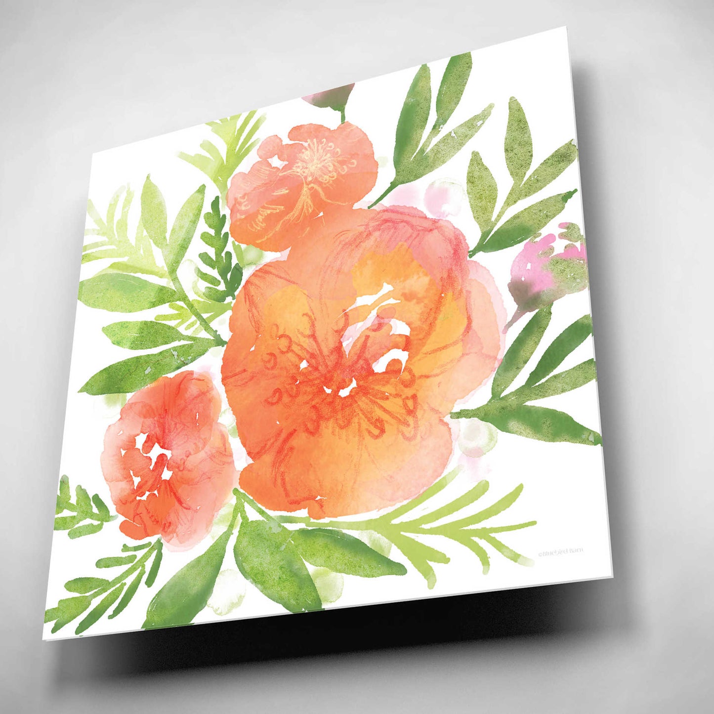 Epic Art 'Peachy Floral I' by Bluebird Barn, Acrylic Glass Wall Art,12x12