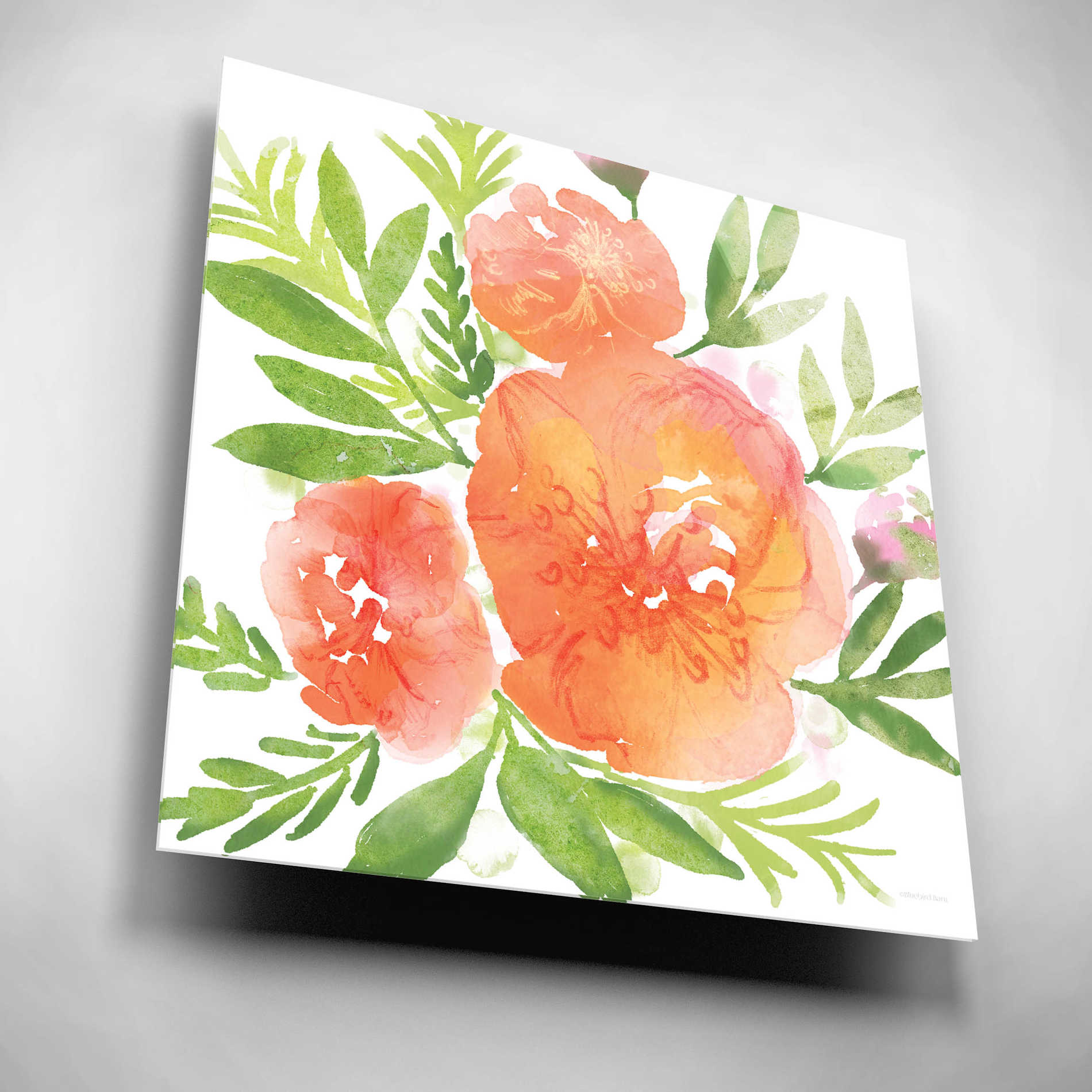 Epic Art 'Peachy Floral I' by Bluebird Barn, Acrylic Glass Wall Art,12x12