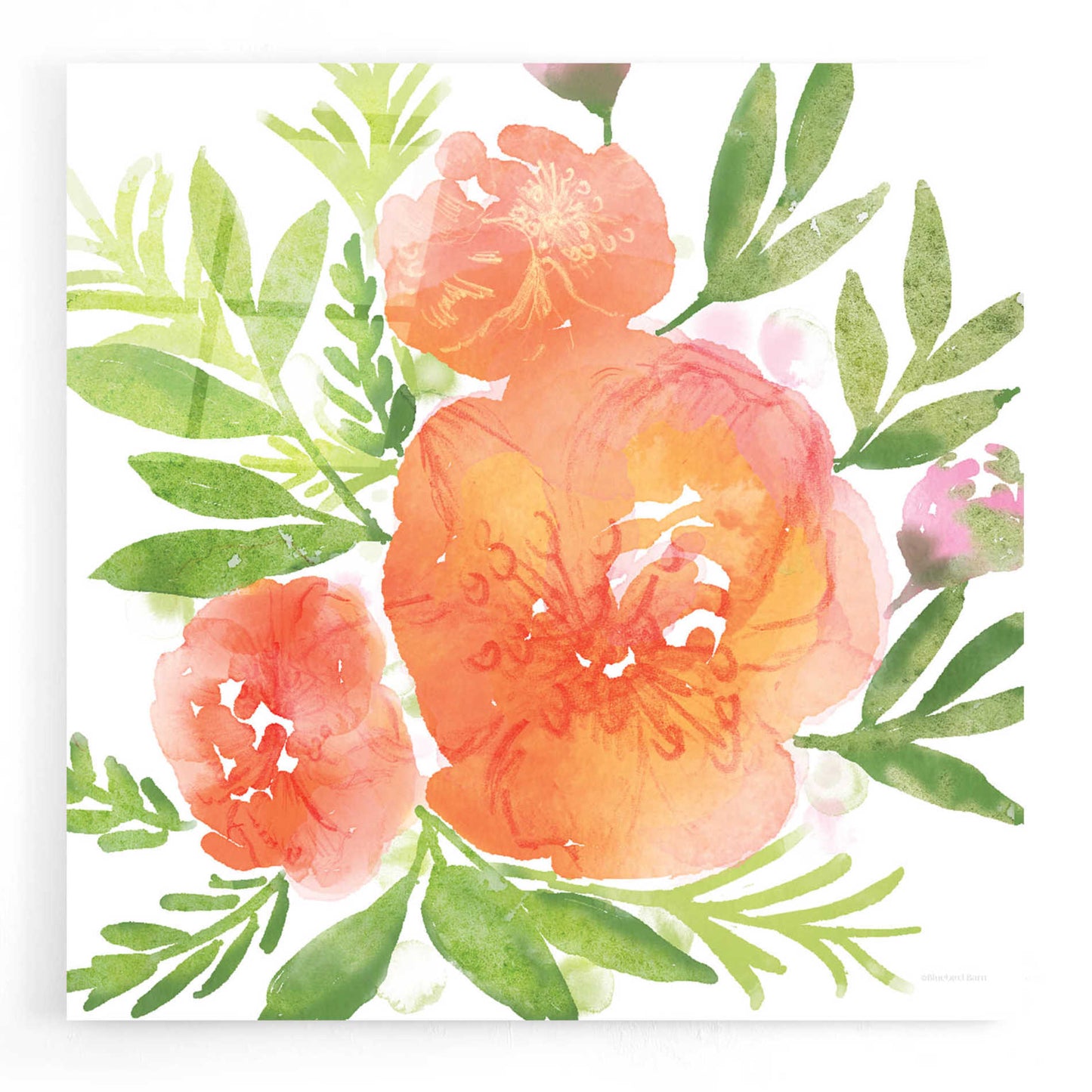 Epic Art 'Peachy Floral I' by Bluebird Barn, Acrylic Glass Wall Art,12x12