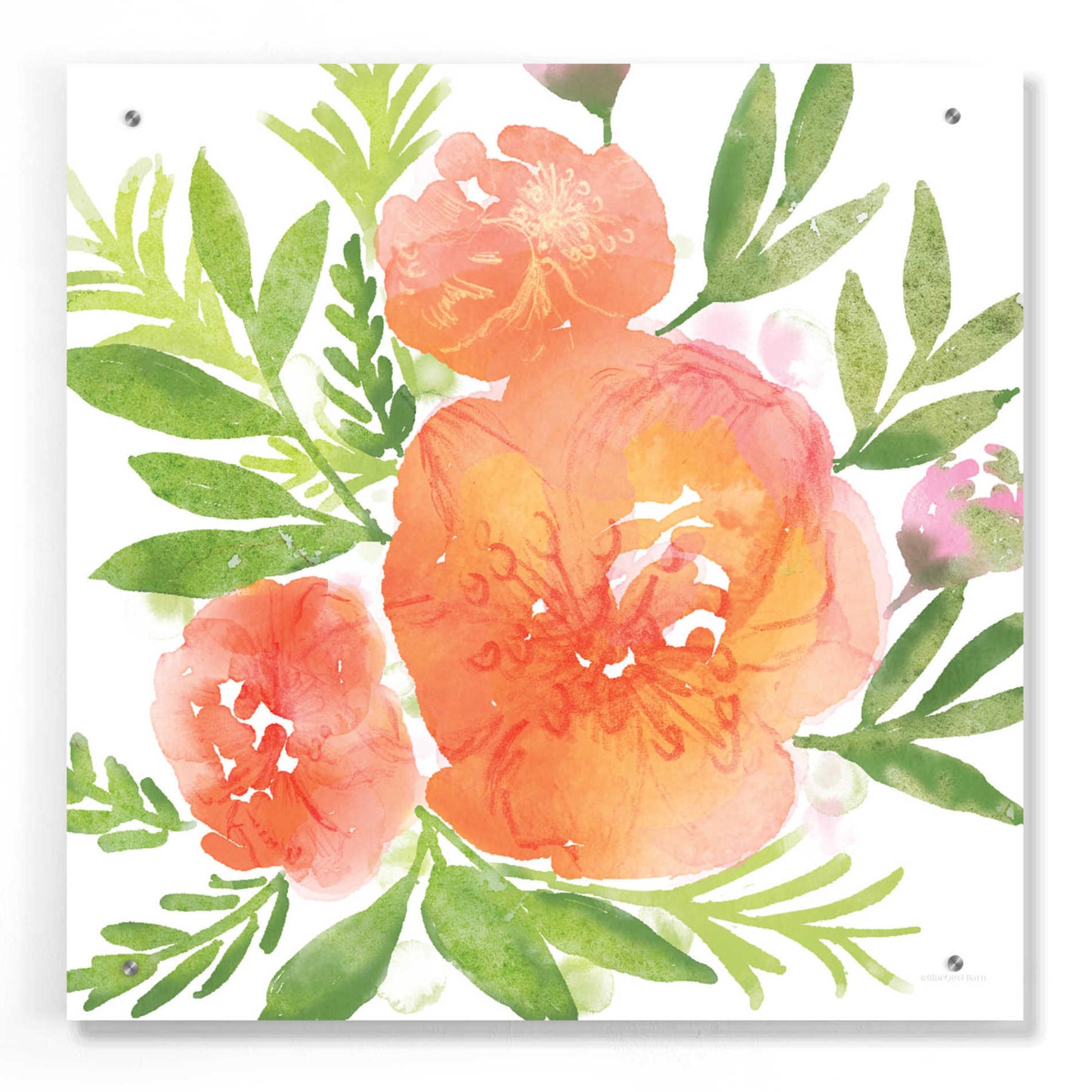 Epic Art 'Peachy Floral I' by Bluebird Barn, Acrylic Glass Wall Art,24x24