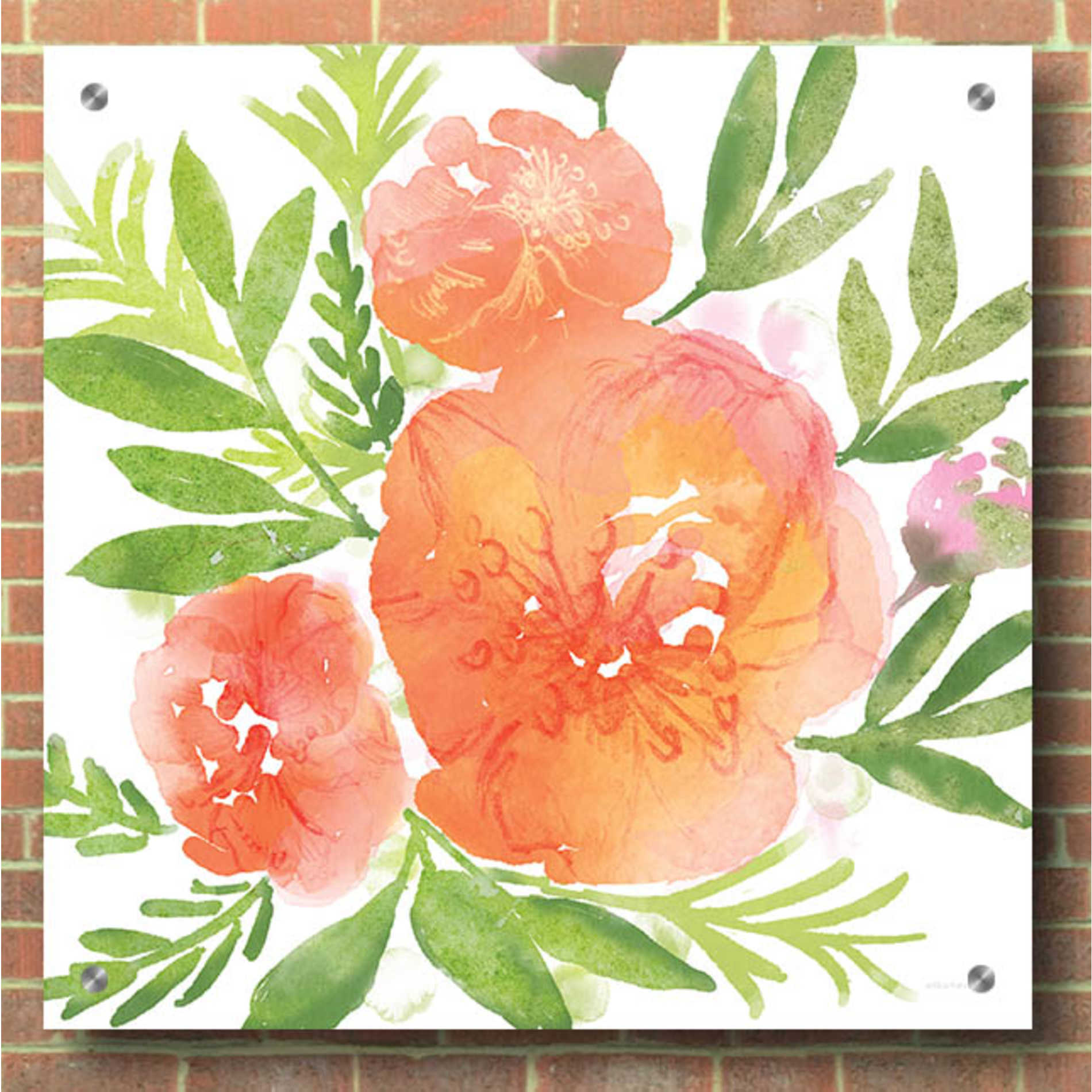 Epic Art 'Peachy Floral I' by Bluebird Barn, Acrylic Glass Wall Art,36x36