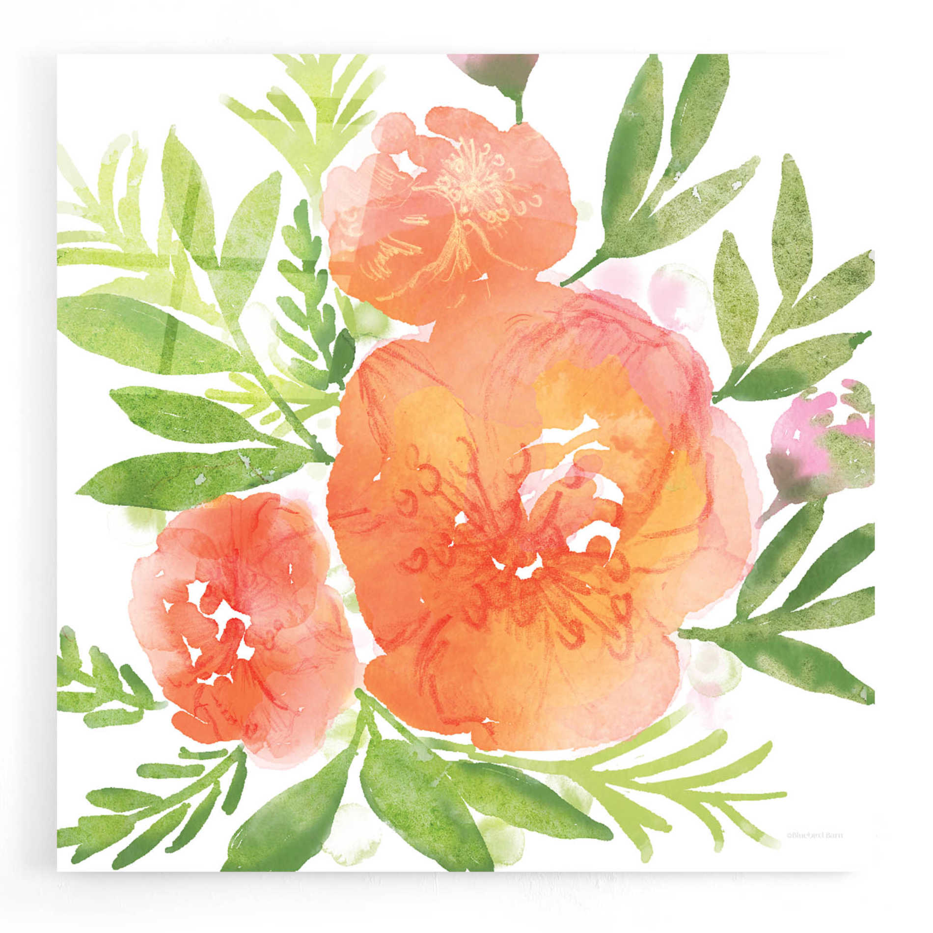 Epic Art 'Peachy Floral I' by Bluebird Barn, Acrylic Glass Wall Art