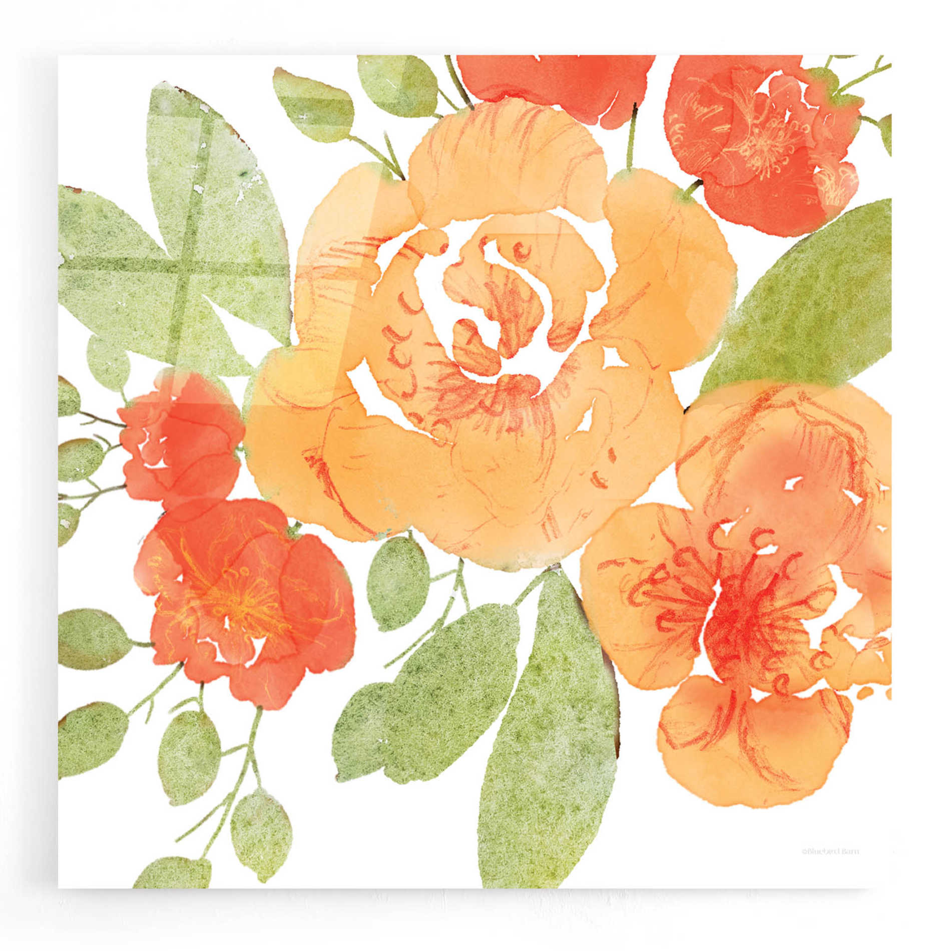 Epic Art 'Peachy Floral II' by Bluebird Barn, Acrylic Glass Wall Art,12x12