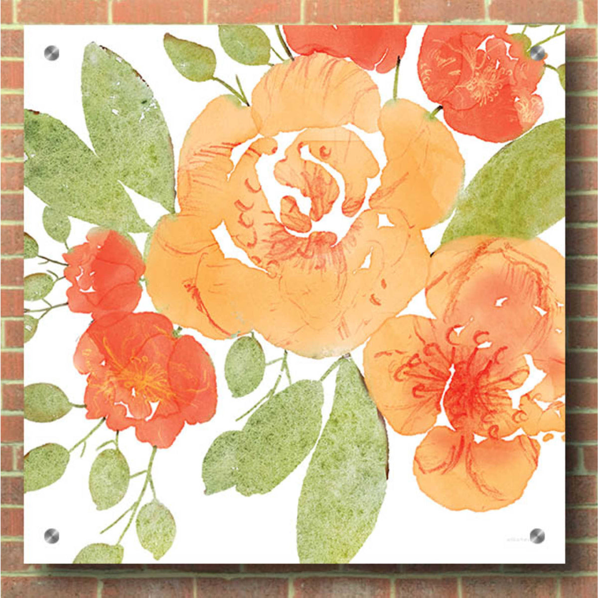 Epic Art 'Peachy Floral II' by Bluebird Barn, Acrylic Glass Wall Art,36x36