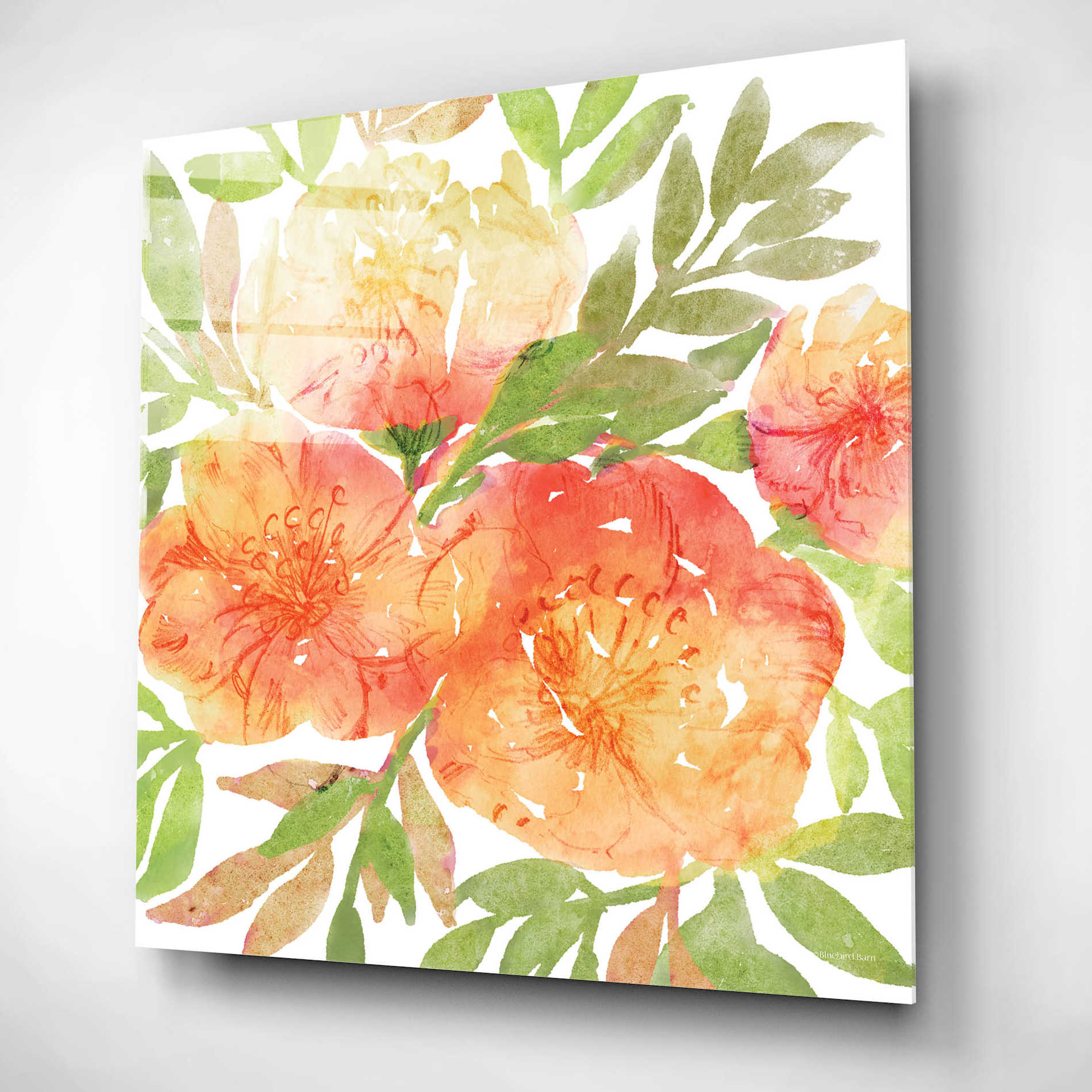 Epic Art 'Peachy Floral III' by Bluebird Barn, Acrylic Glass Wall Art,12x12