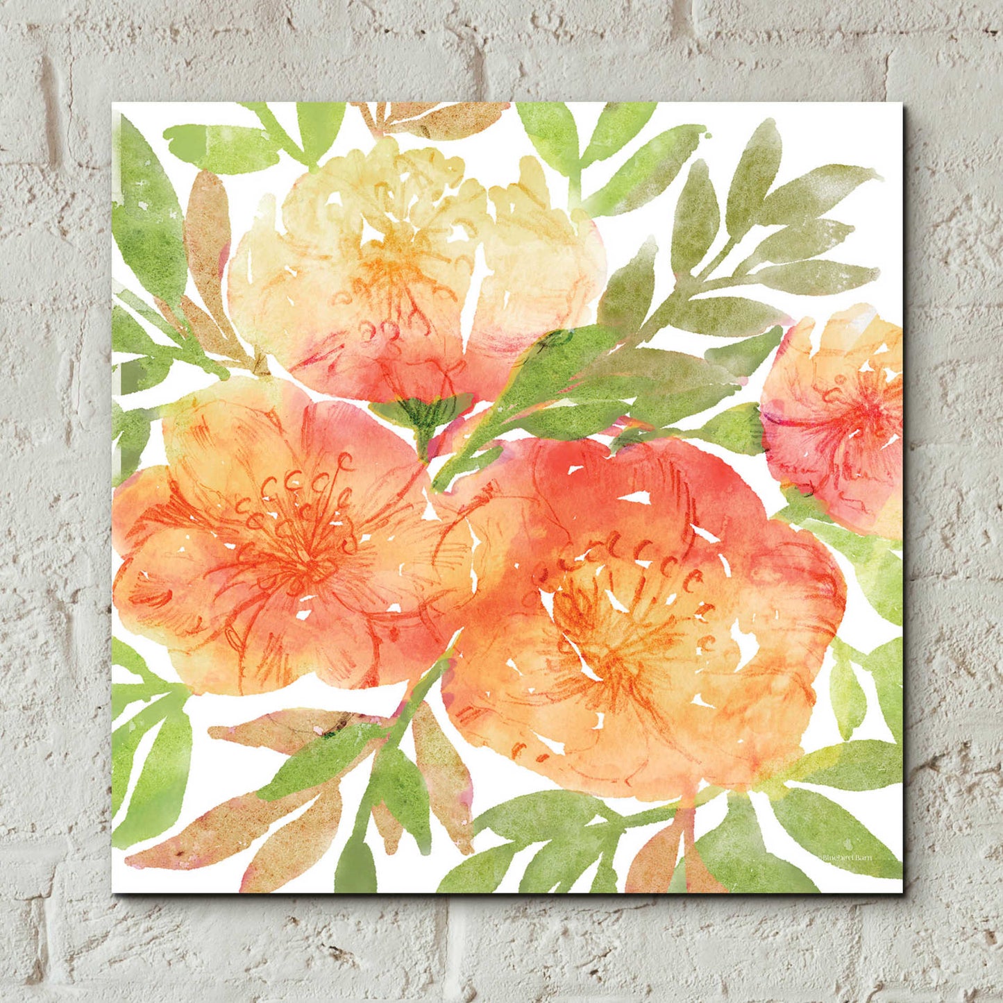 Epic Art 'Peachy Floral III' by Bluebird Barn, Acrylic Glass Wall Art,12x12