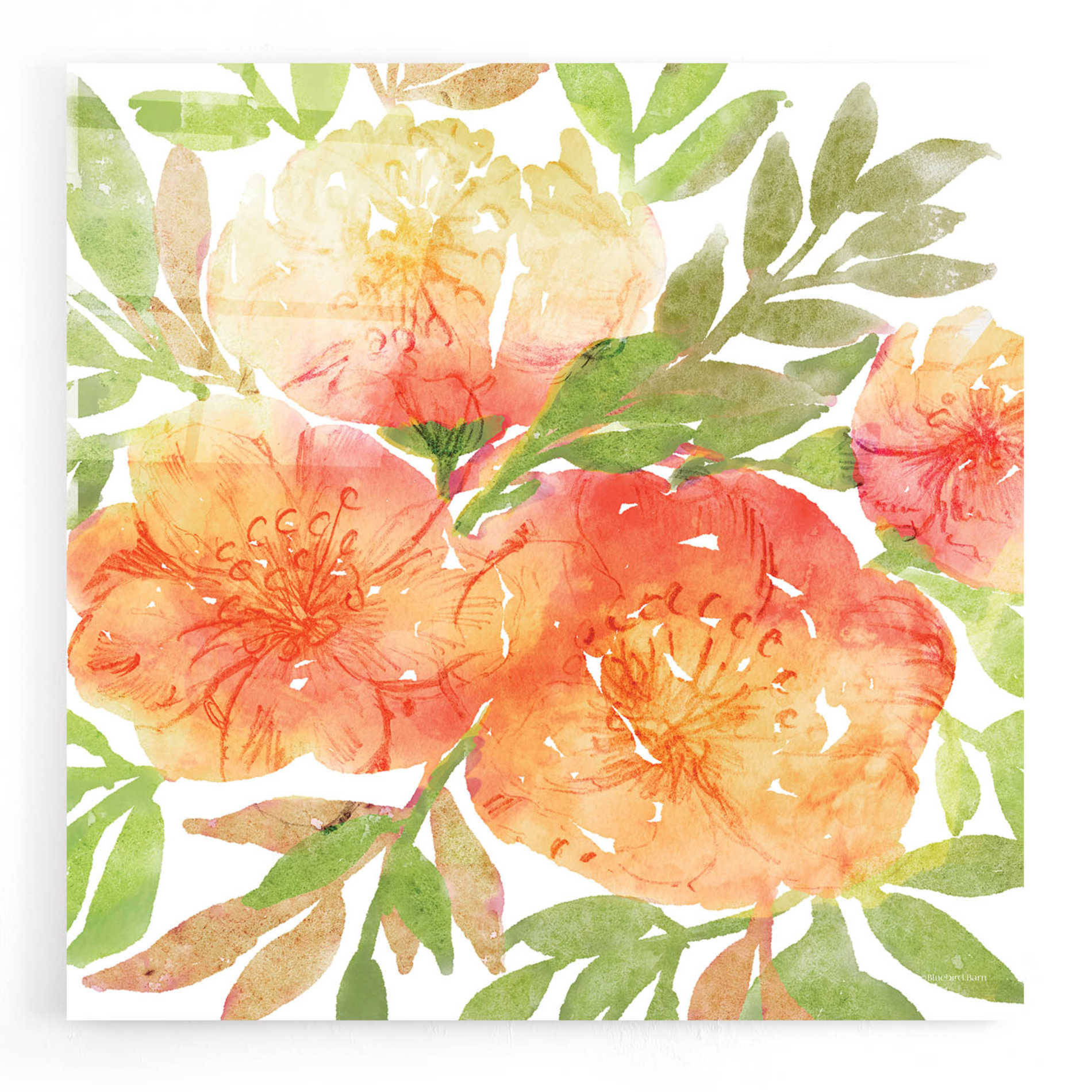 Epic Art 'Peachy Floral III' by Bluebird Barn, Acrylic Glass Wall Art,12x12