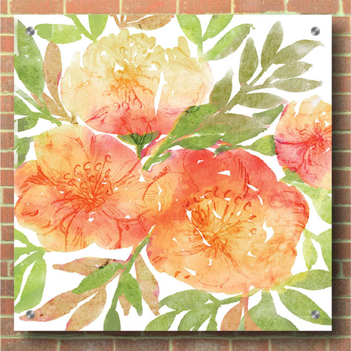 Epic Art 'Peachy Floral III' by Bluebird Barn, Acrylic Glass Wall Art,36x36