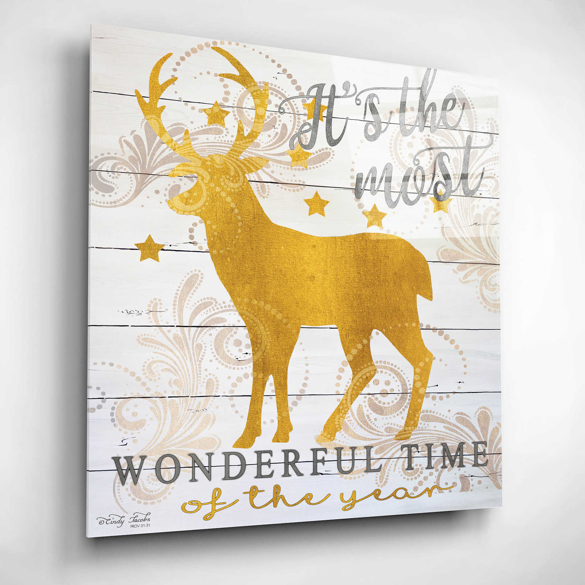 Epic Art 'It's the Most Wonderful Time Deer' by Cindy Jacobs, Acrylic Glass Wall Art,12x12