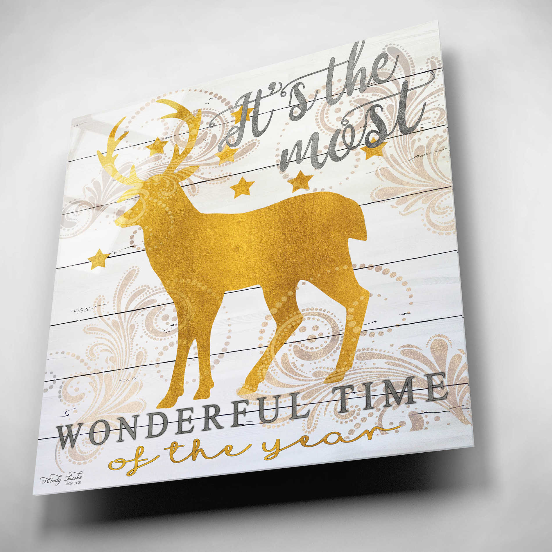 Epic Art 'It's the Most Wonderful Time Deer' by Cindy Jacobs, Acrylic Glass Wall Art,12x12