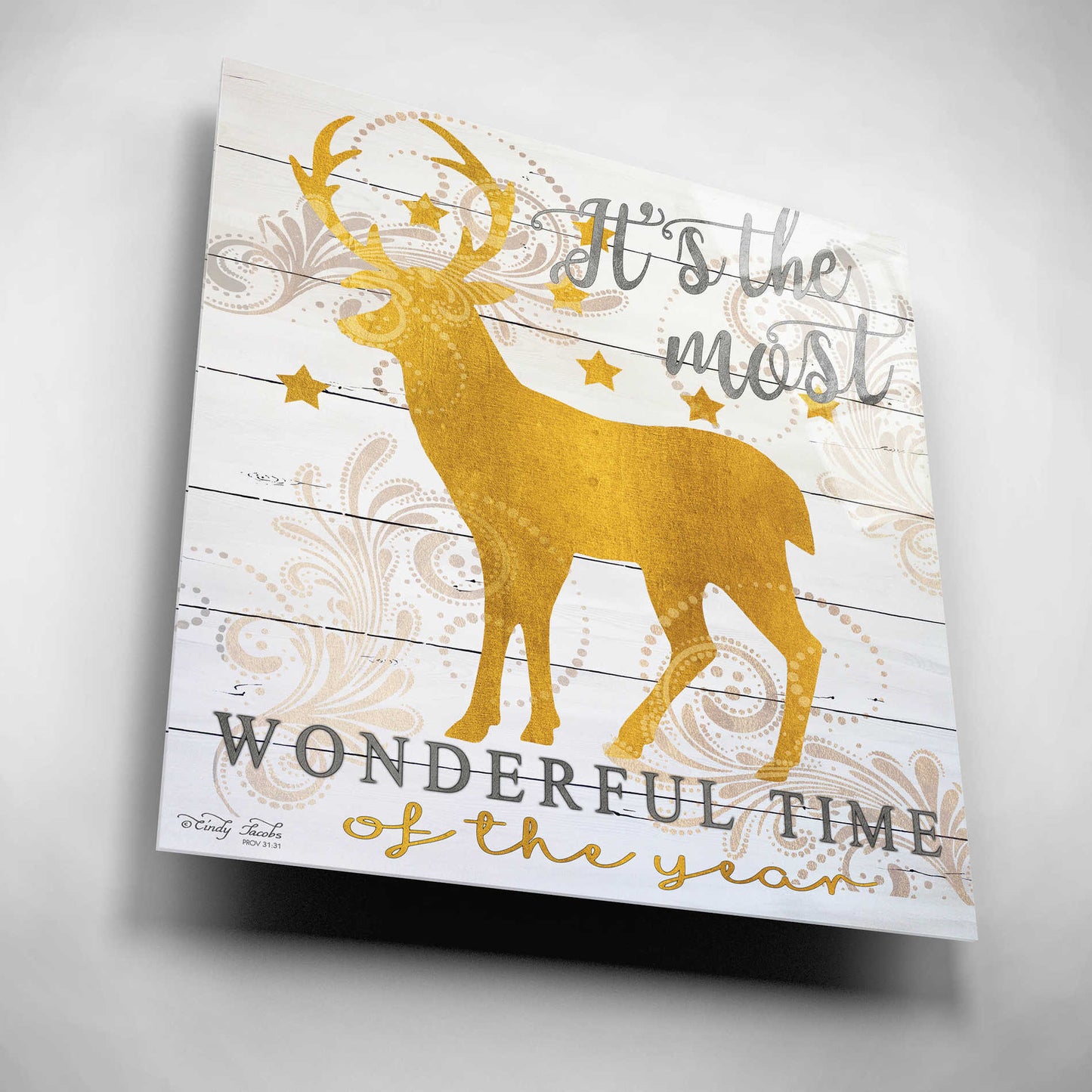 Epic Art 'It's the Most Wonderful Time Deer' by Cindy Jacobs, Acrylic Glass Wall Art,12x12