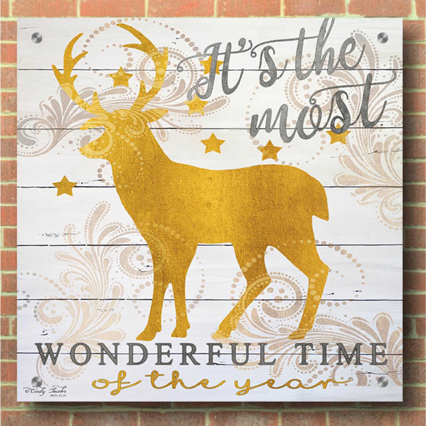 Epic Art 'It's the Most Wonderful Time Deer' by Cindy Jacobs, Acrylic Glass Wall Art,36x36