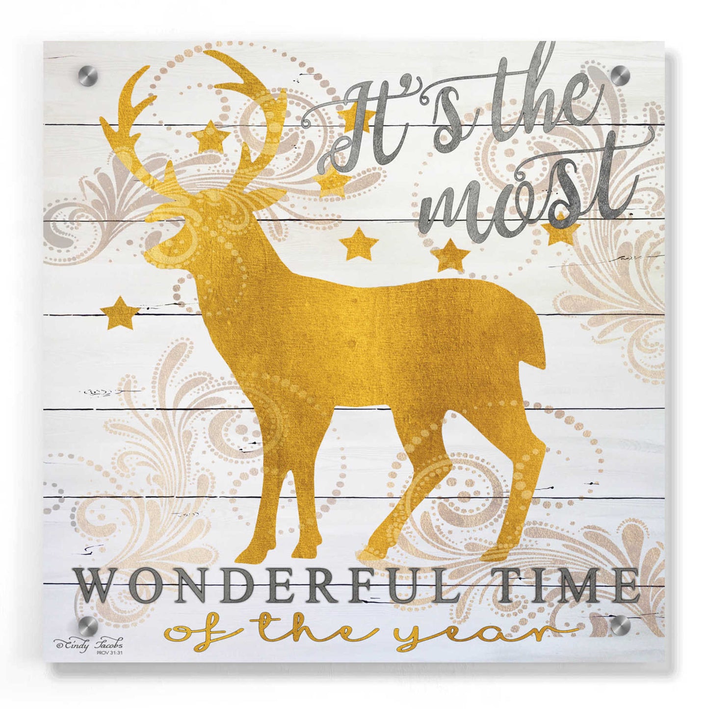 Epic Art 'It's the Most Wonderful Time Deer' by Cindy Jacobs, Acrylic Glass Wall Art,36x36