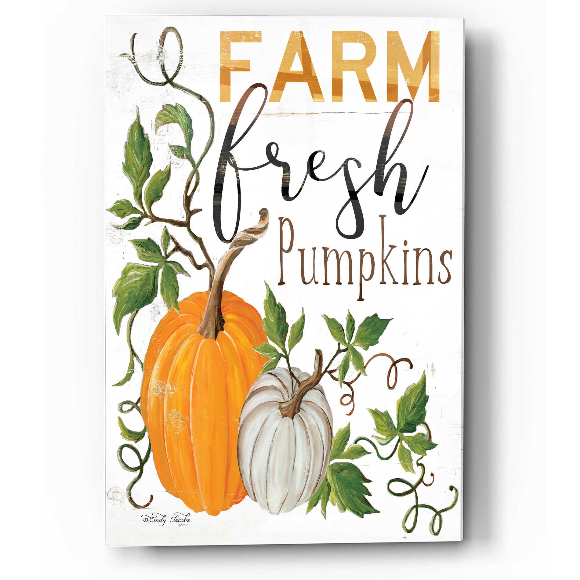 Epic Art 'Farm Fresh Pumpkins' by Cindy Jacobs, Acrylic Glass Wall Art,12x16
