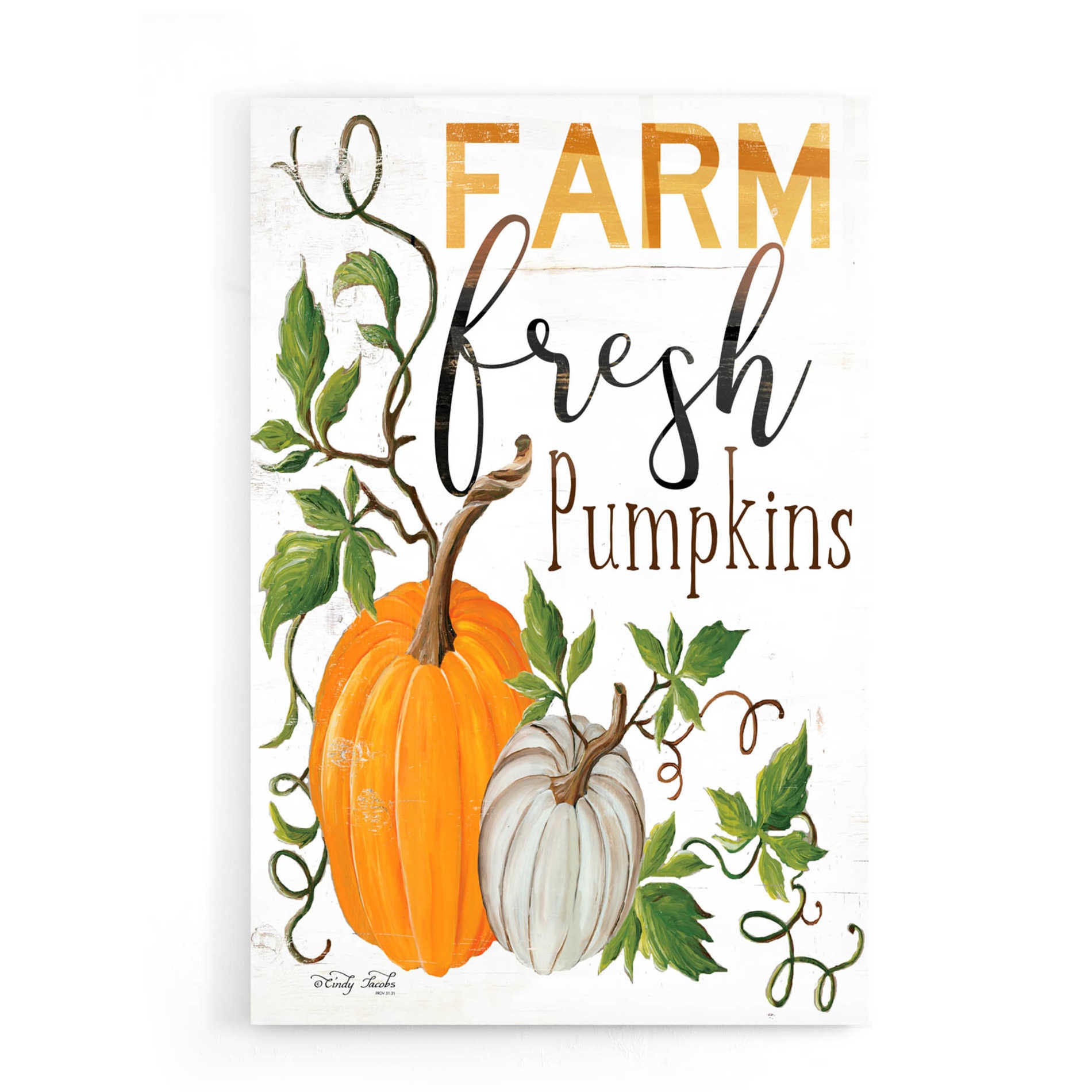 Epic Art 'Farm Fresh Pumpkins' by Cindy Jacobs, Acrylic Glass Wall Art,16x24