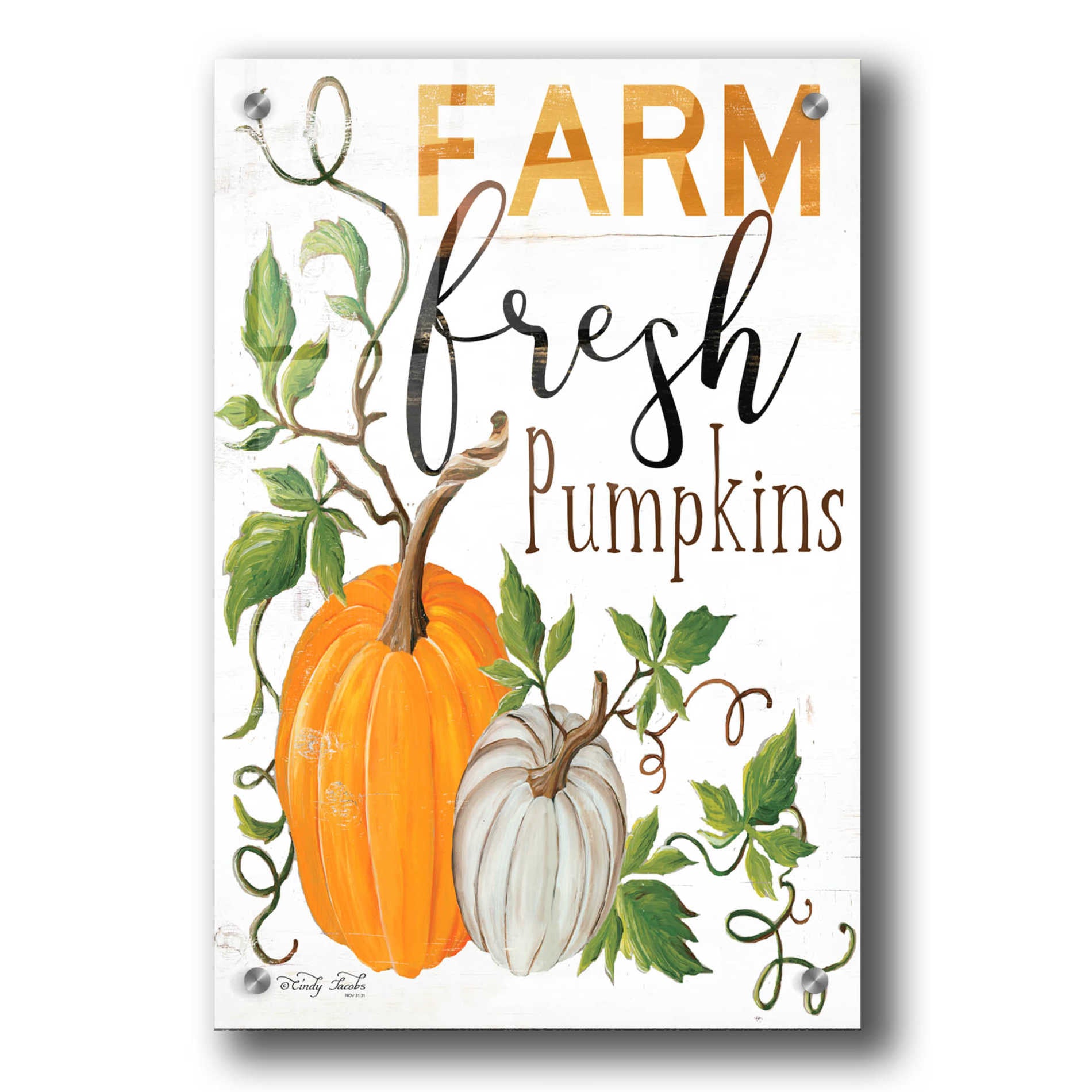 Epic Art 'Farm Fresh Pumpkins' by Cindy Jacobs, Acrylic Glass Wall Art,24x36