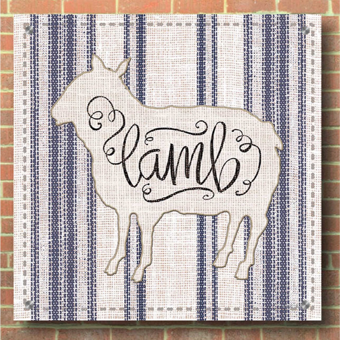 Epic Art 'Lamb' by Cindy Jacobs, Acrylic Glass Wall Art,36x36