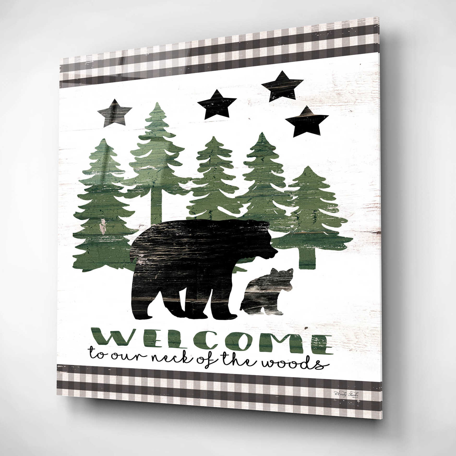 Epic Art 'Welcome Lodge' by Cindy Jacobs, Acrylic Glass Wall Art,12x12