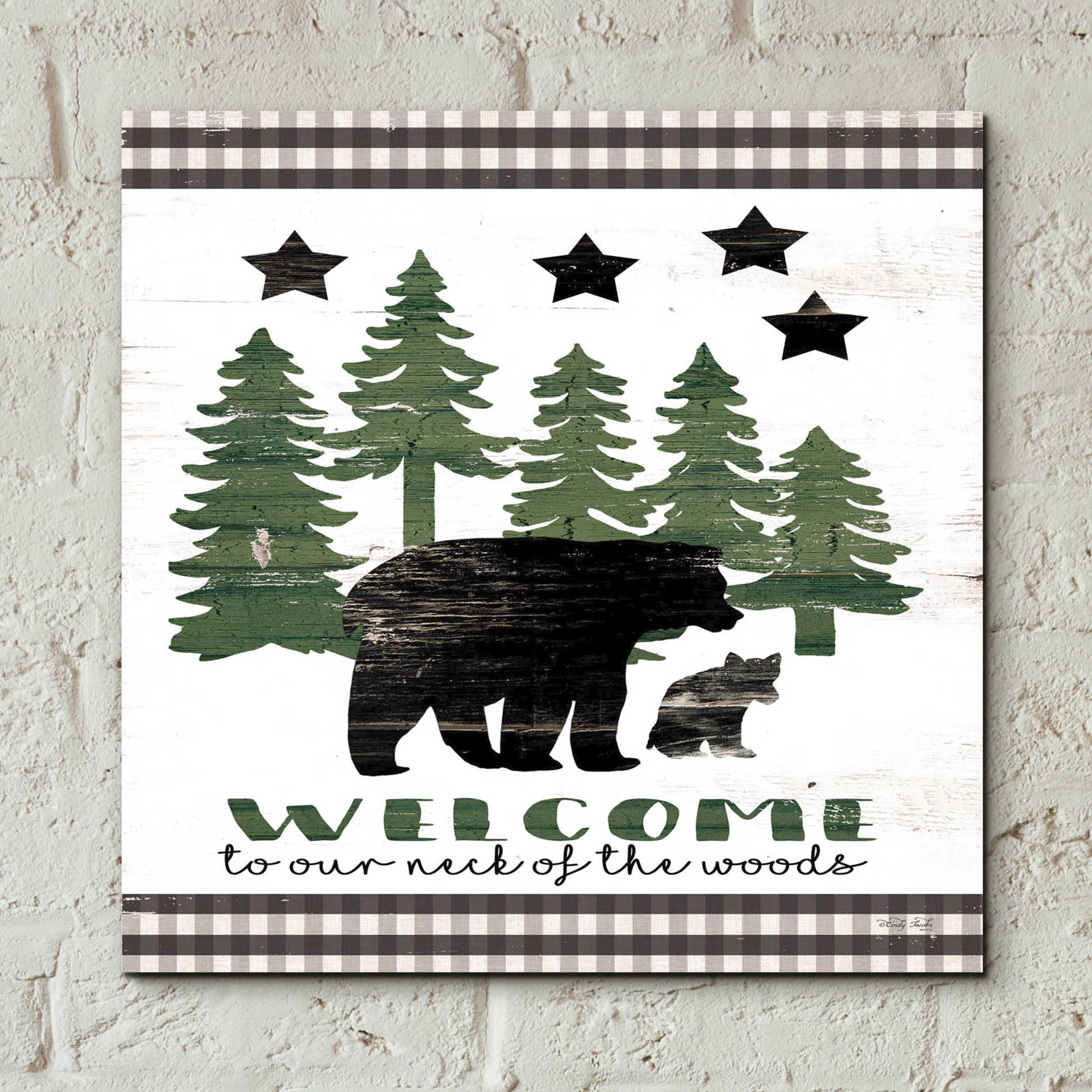 Epic Art 'Welcome Lodge' by Cindy Jacobs, Acrylic Glass Wall Art,12x12