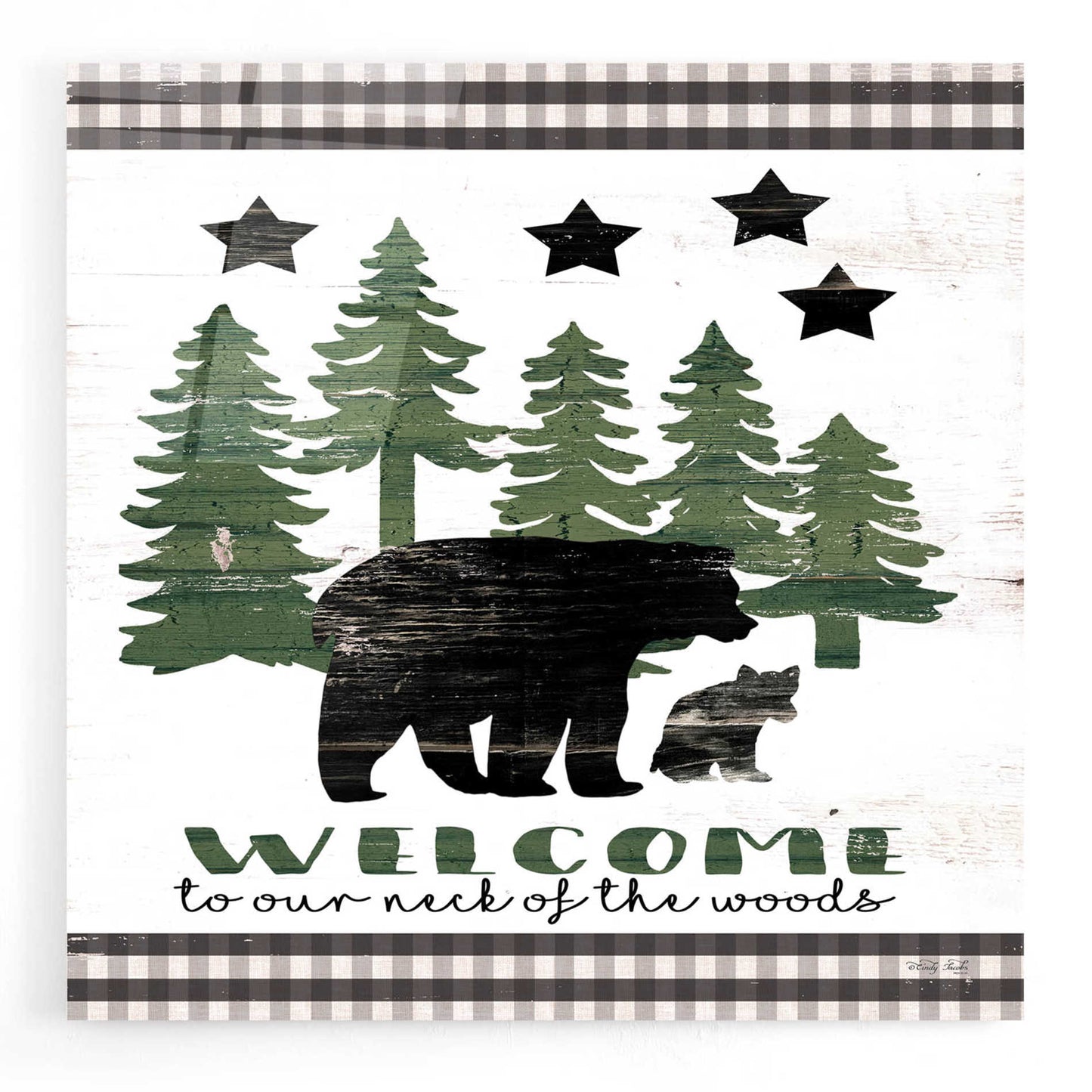 Epic Art 'Welcome Lodge' by Cindy Jacobs, Acrylic Glass Wall Art,12x12