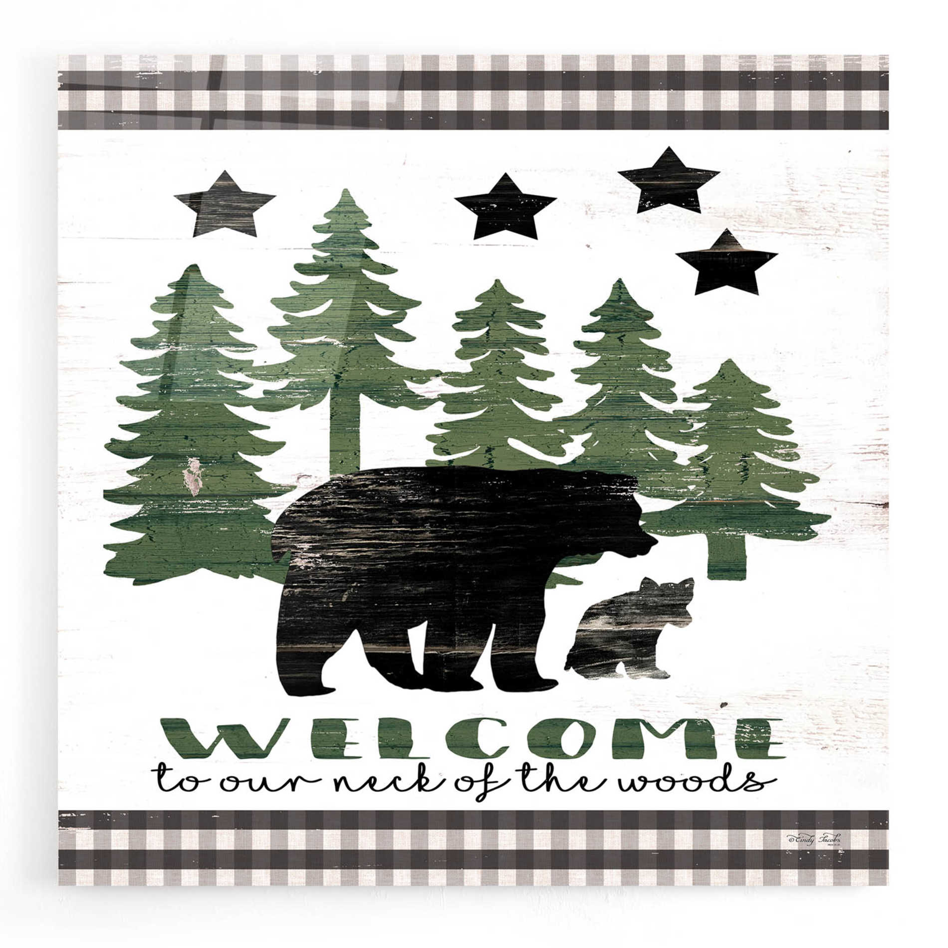 Epic Art 'Welcome Lodge' by Cindy Jacobs, Acrylic Glass Wall Art,12x12