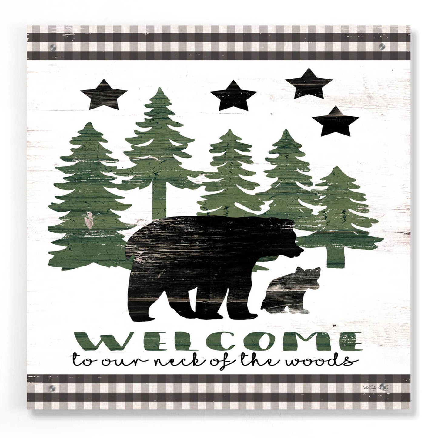 Epic Art 'Welcome Lodge' by Cindy Jacobs, Acrylic Glass Wall Art,24x24