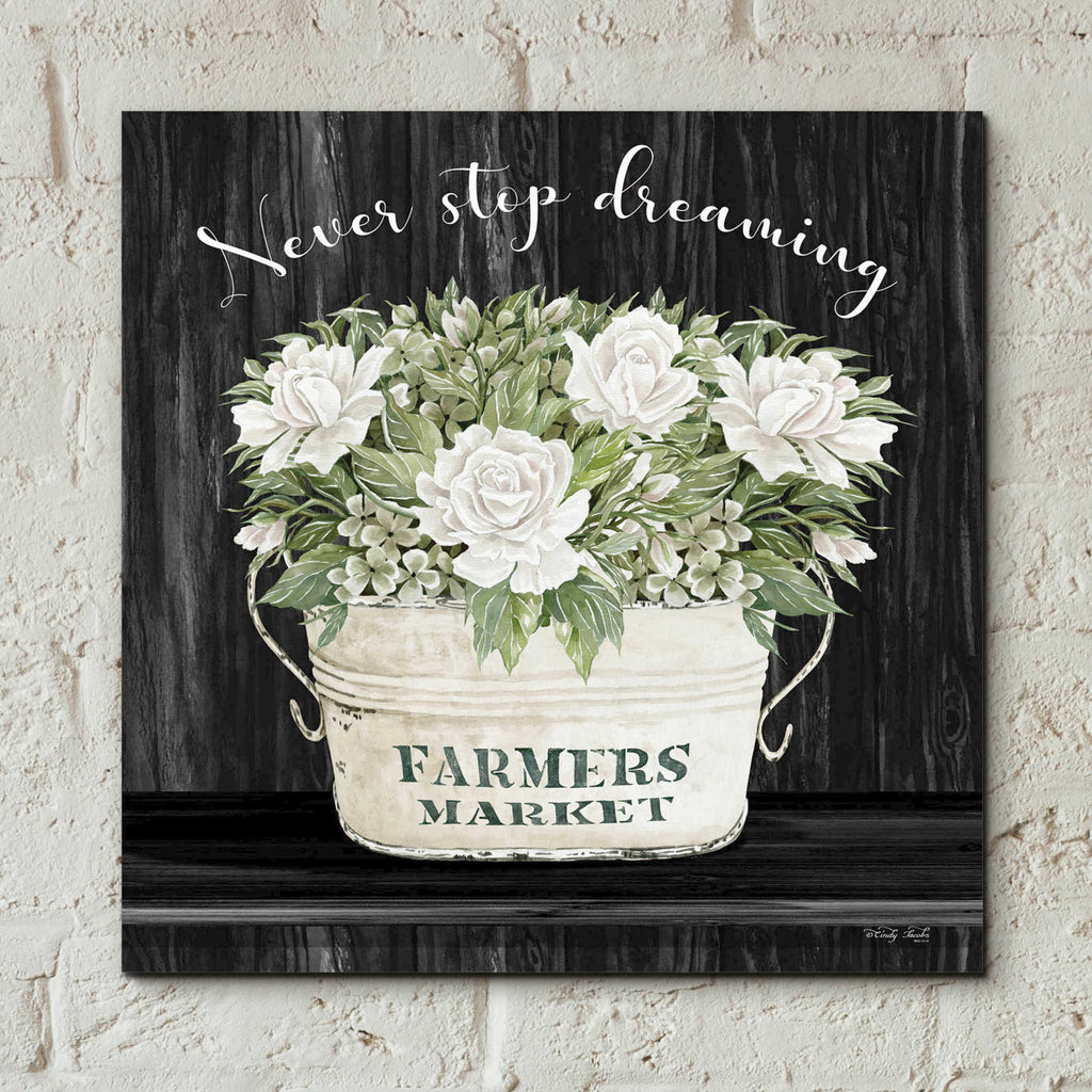 Epic Art 'Never Stop Dreaming' by Cindy Jacobs, Acrylic Glass Wall Art,12x12