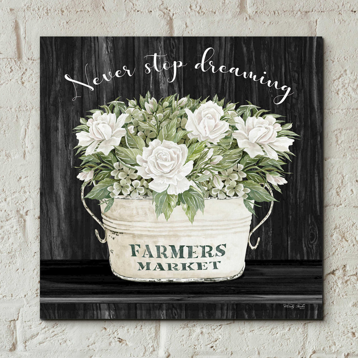Epic Art 'Never Stop Dreaming' by Cindy Jacobs, Acrylic Glass Wall Art,12x12