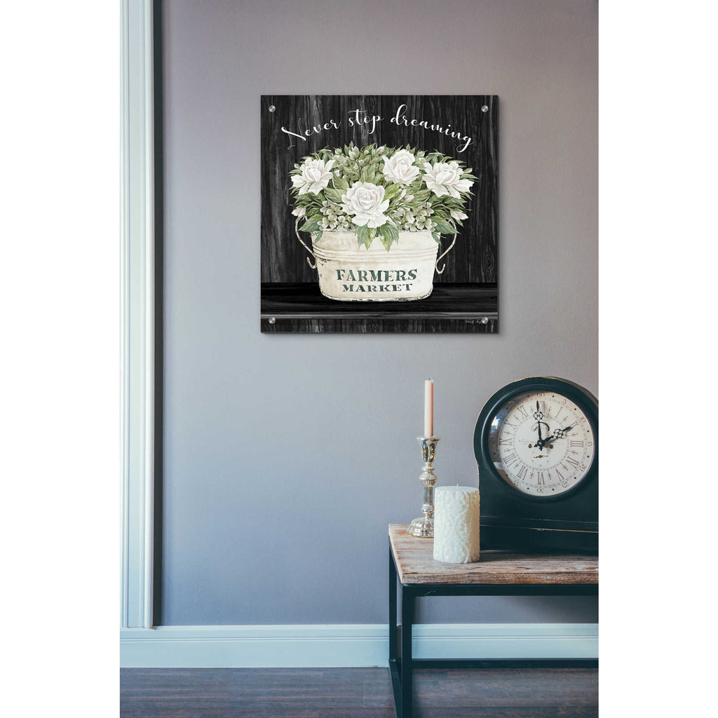 Epic Art 'Never Stop Dreaming' by Cindy Jacobs, Acrylic Glass Wall Art,24x24