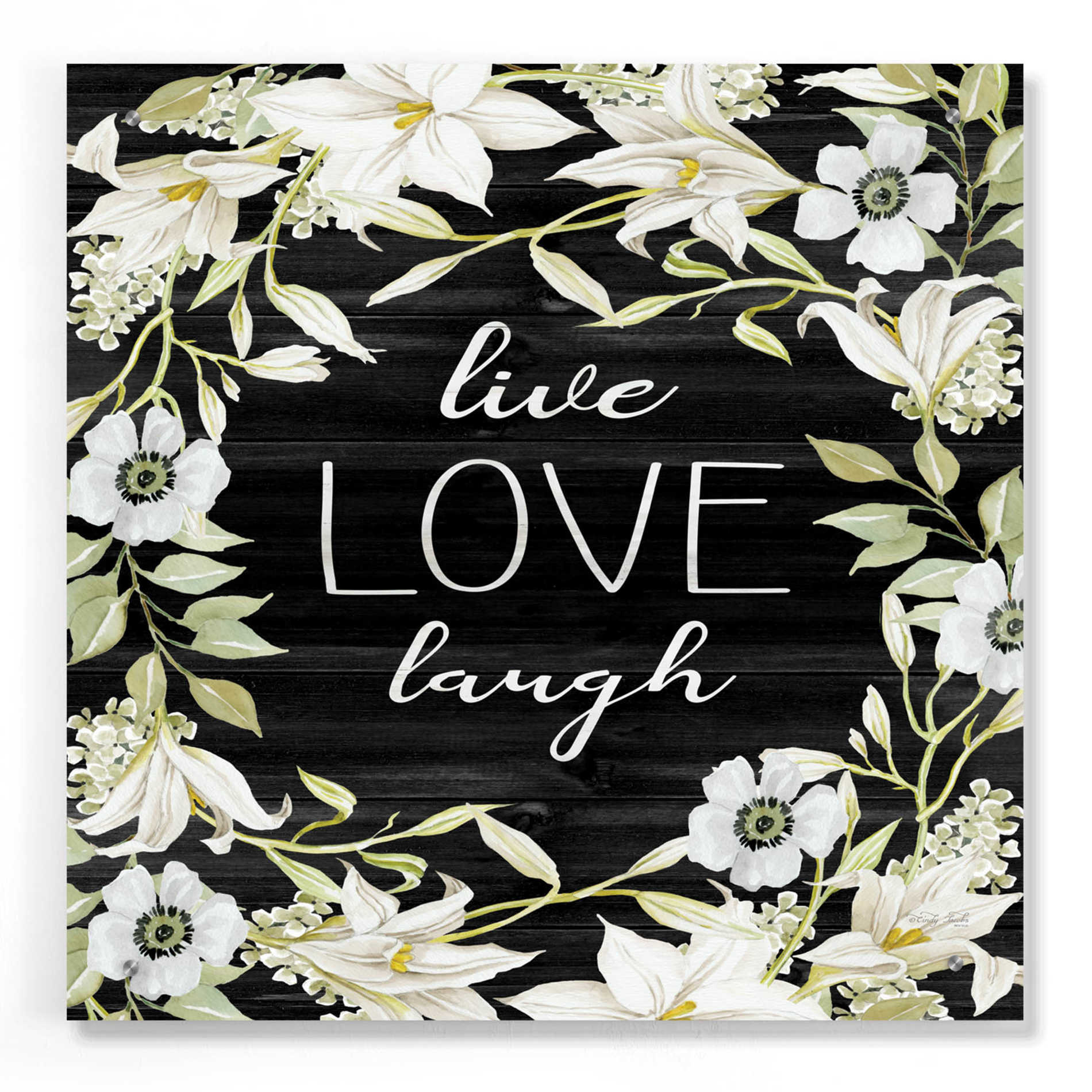 Epic Art 'Live, Love, Laugh' by Cindy Jacobs, Acrylic Glass Wall Art,24x24