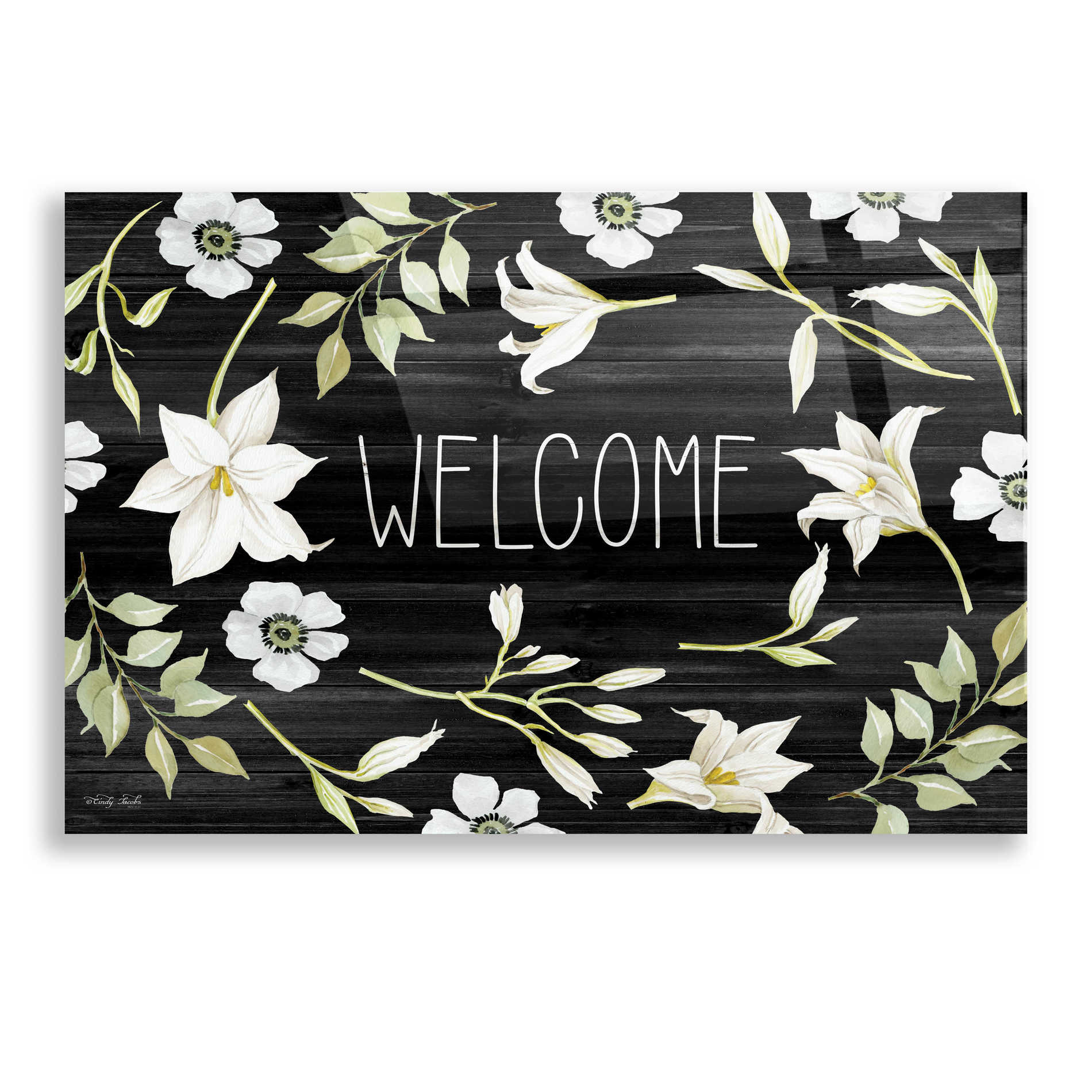 Epic Art 'Welcome Lilies' by Cindy Jacobs, Acrylic Glass Wall Art,16x12
