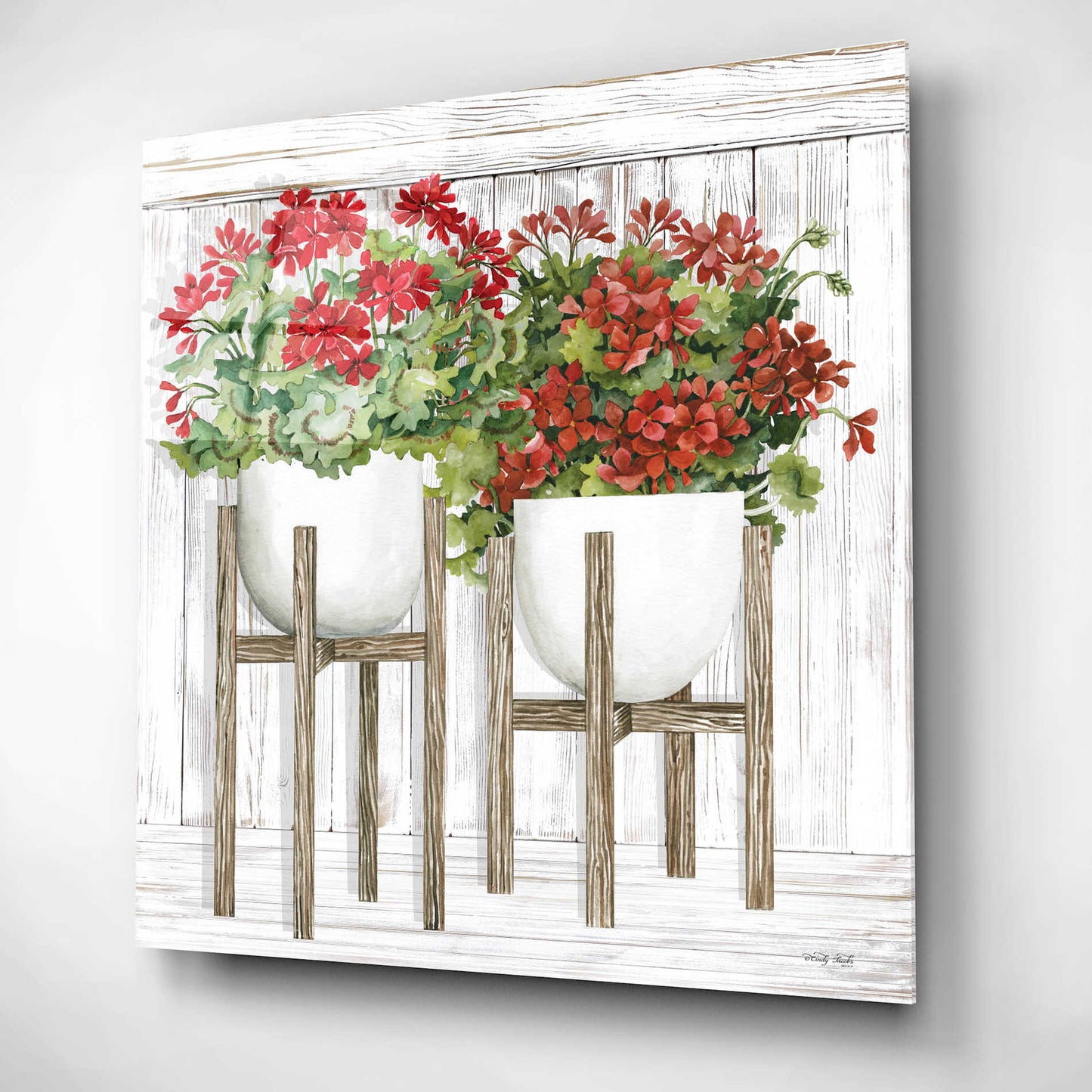 Epic Art 'Red Geraniums' by Cindy Jacobs, Acrylic Glass Wall Art,12x12