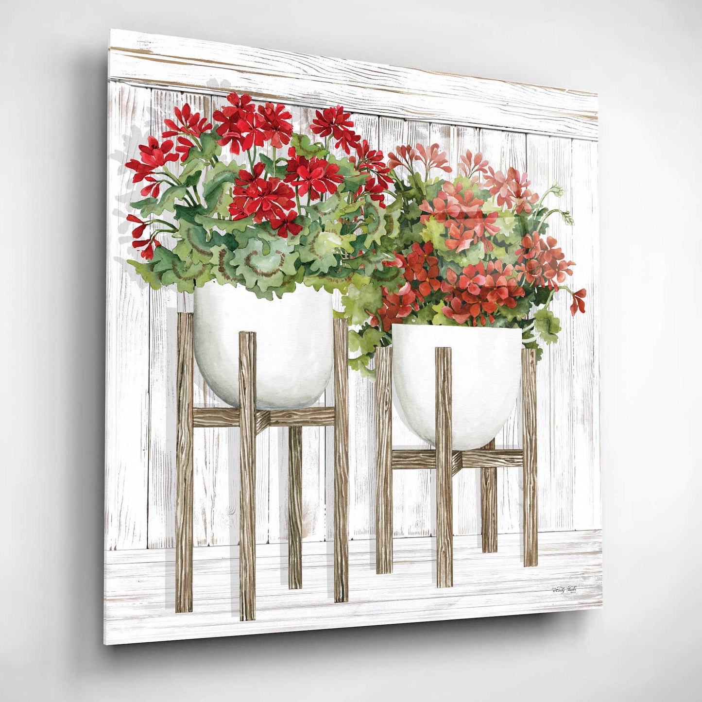 Epic Art 'Red Geraniums' by Cindy Jacobs, Acrylic Glass Wall Art,12x12