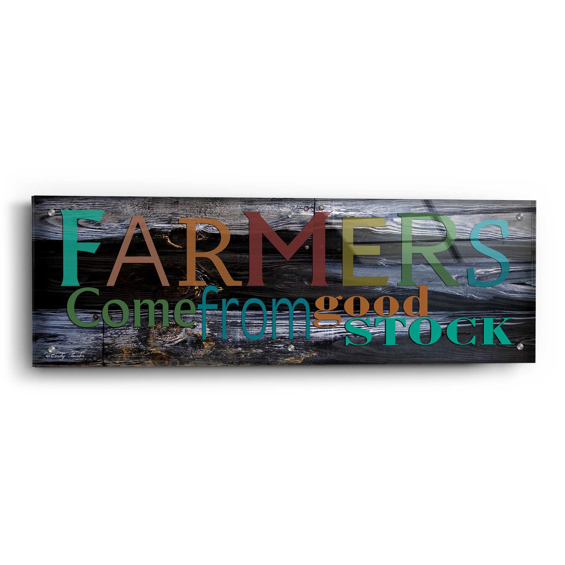 Epic Art 'Farmer's Come from Good Stock' by Cindy Jacobs, Acrylic Glass Wall Art,36x12