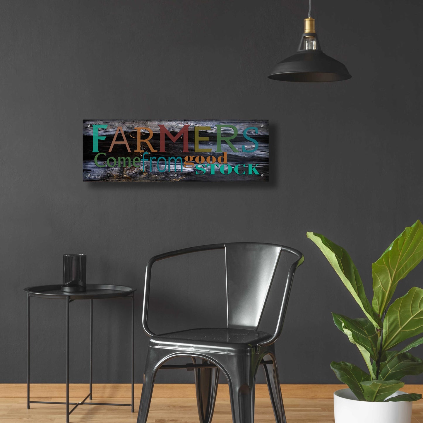 Epic Art 'Farmer's Come from Good Stock' by Cindy Jacobs, Acrylic Glass Wall Art,36x12