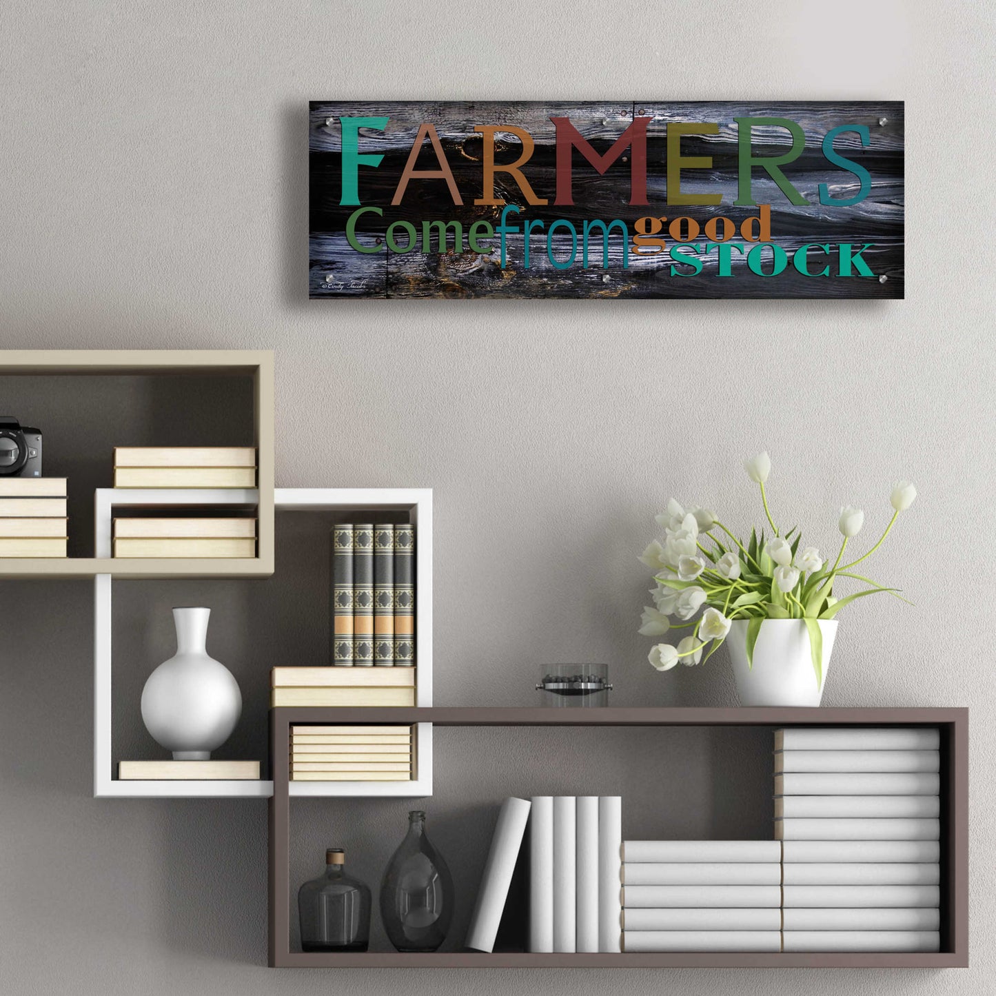 Epic Art 'Farmer's Come from Good Stock' by Cindy Jacobs, Acrylic Glass Wall Art,36x12